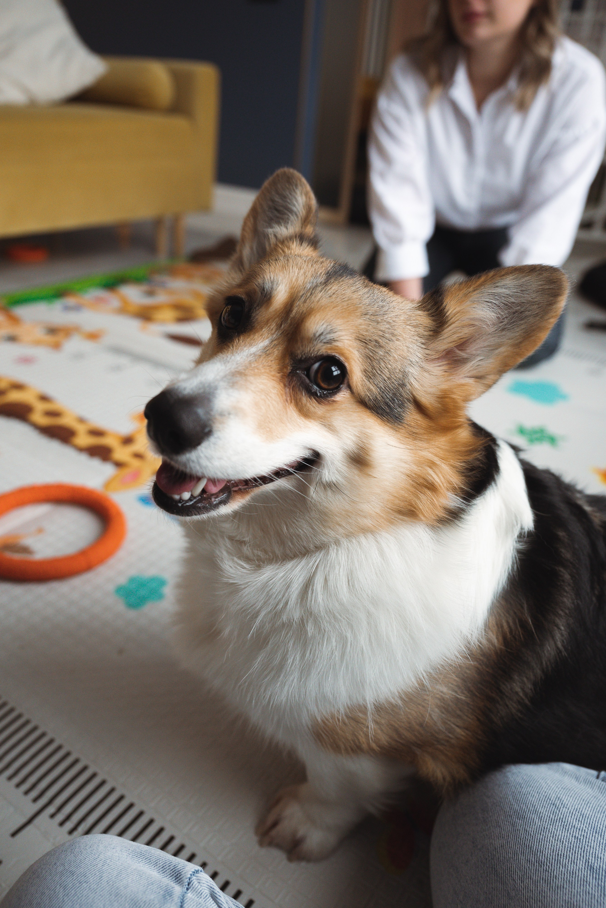 Дима и Лера. Фотограф Москва Настя Профотовна. Репортажные, свадебные и контент фотосессии