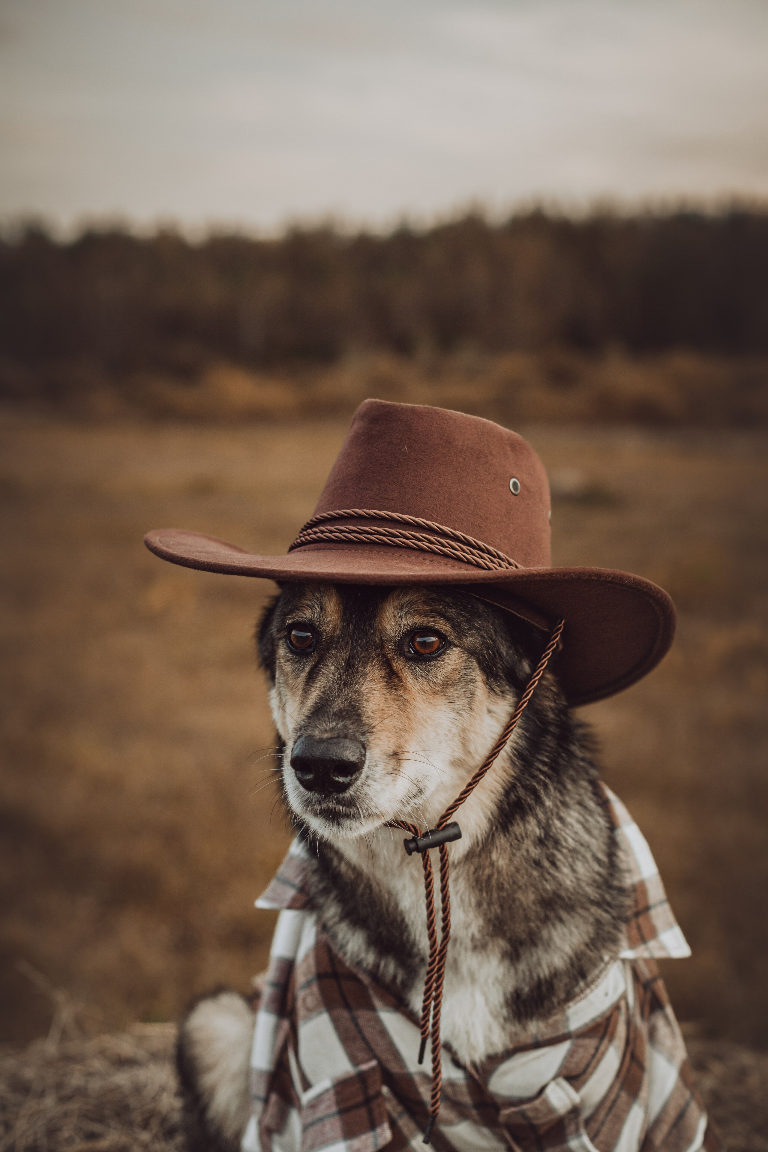 Кантри Дюк. Фотограф-анималист Татьяна Степанова