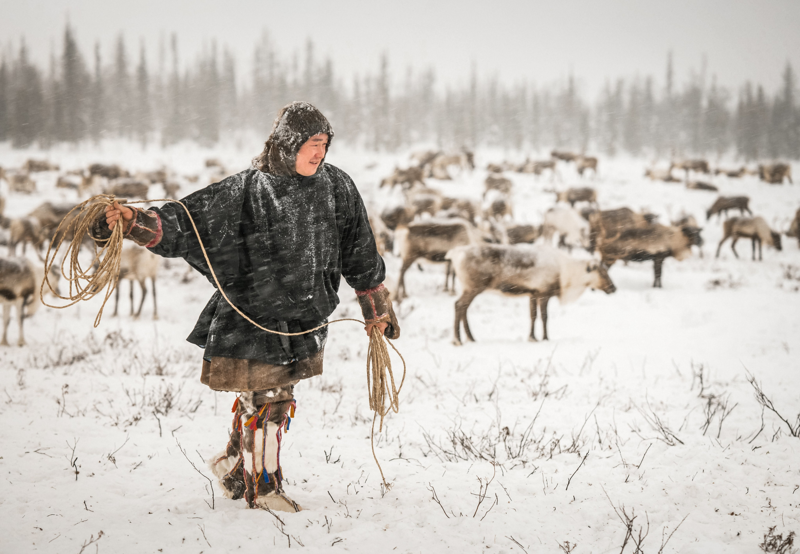Ямал. Детский и семейный фотограф
