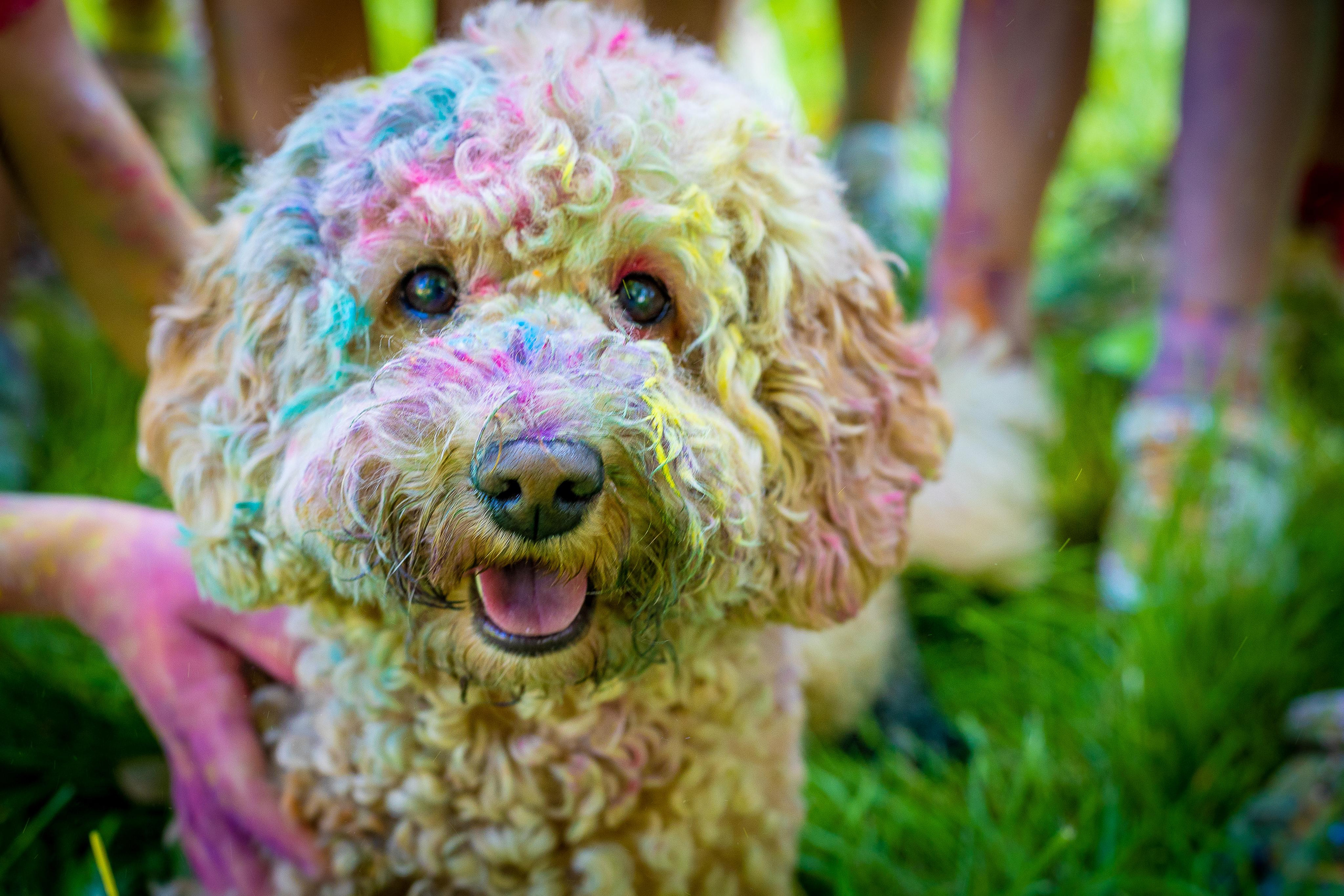 Сборы ШХГ «Блекс» июль 2023. Фото и видео съемка Ваших мероприятий