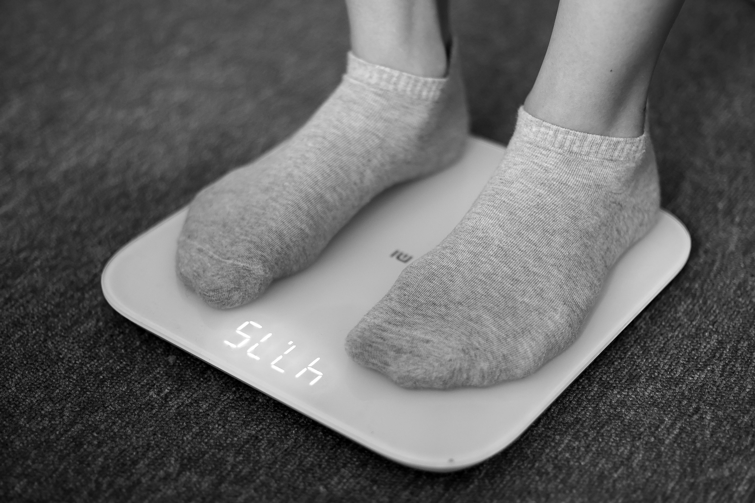 Сборы ШХГ «FORCE» август 2023. Фото и видео съемка Ваших мероприятий