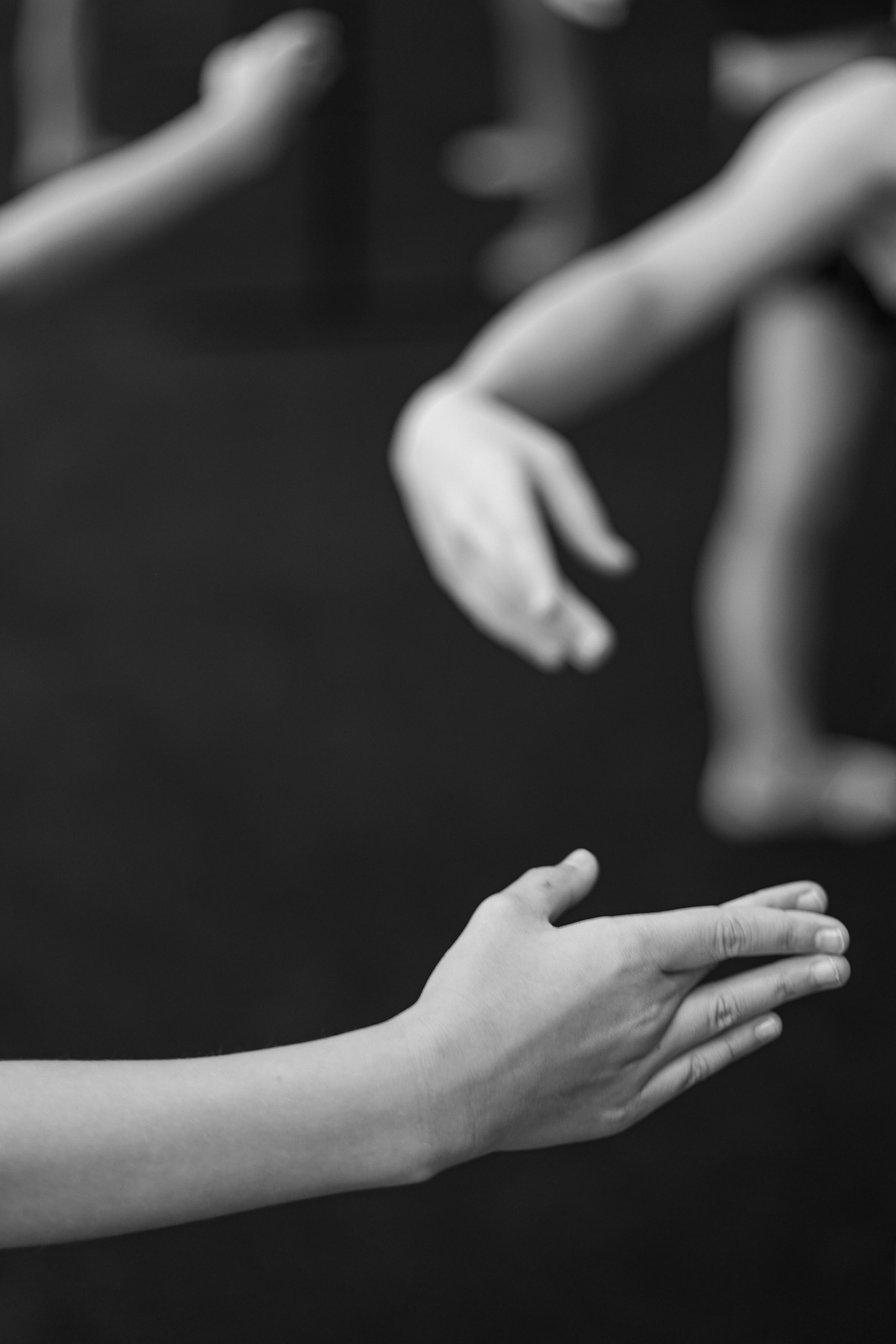 Сборы ШХГ «FORCE» август 2023. Фото и видео съемка Ваших мероприятий