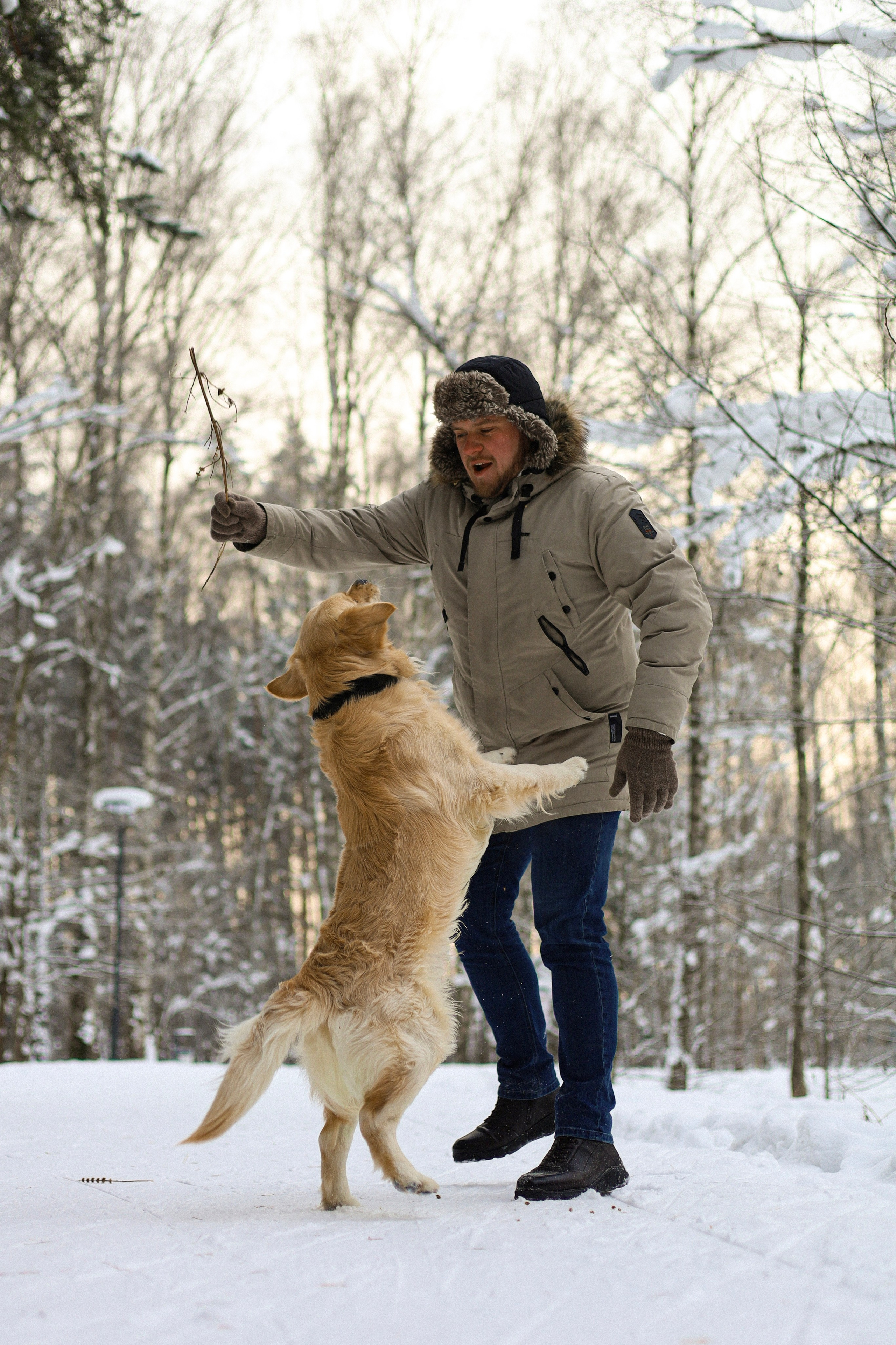 Стивен, Лена и Миша. Фотограф-анималист Ксения Шевцова|Москва