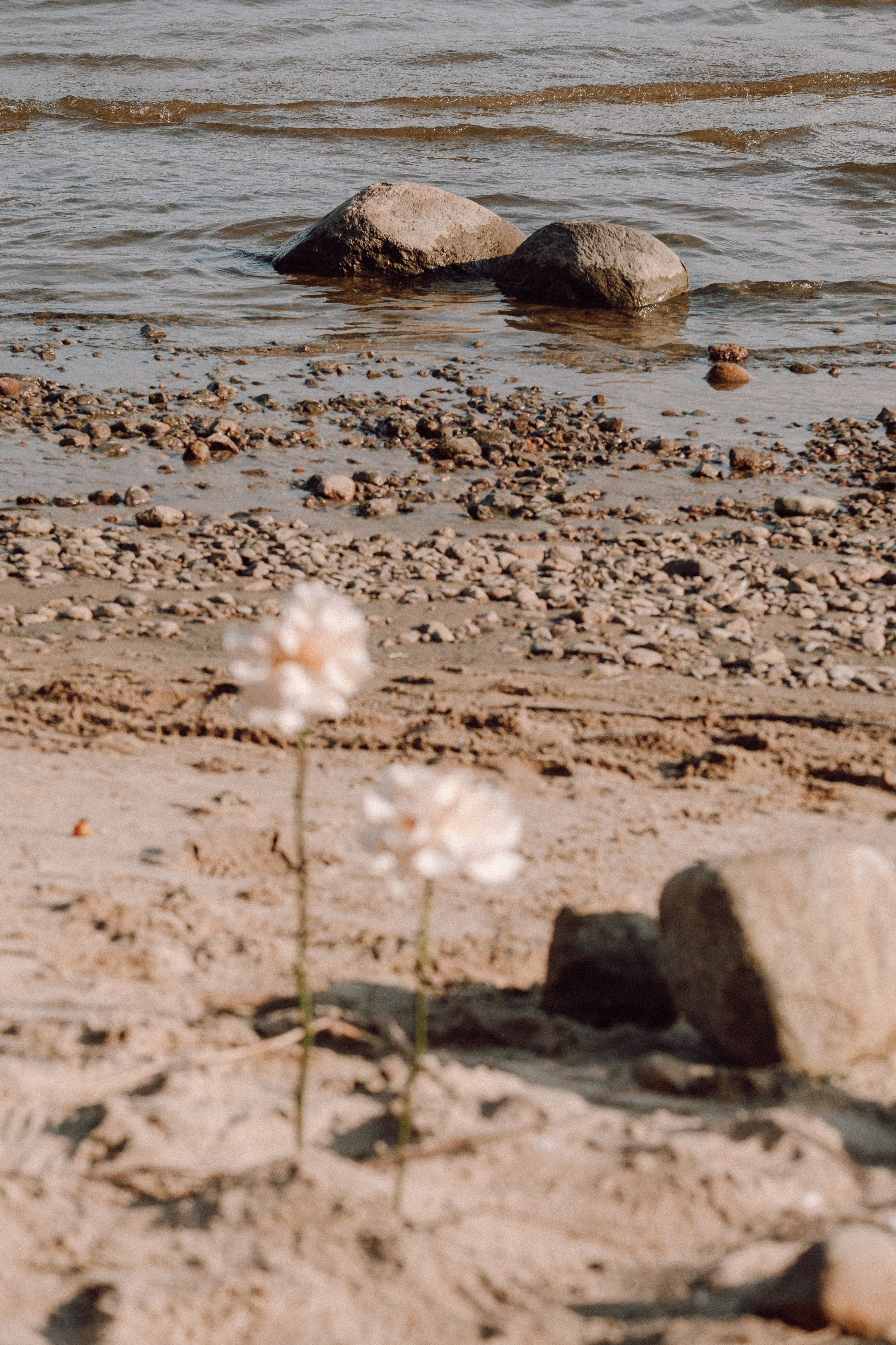 СВАДЕБНАЯ ФОТОСЕССИЯ ВЫЕЗДНОЙ ЦЕРЕМОНИИ (ФИНСКИЙ ЗАЛИВ). Профессиональный фотограф, Санкт-Петербург — Виктория Богомолова