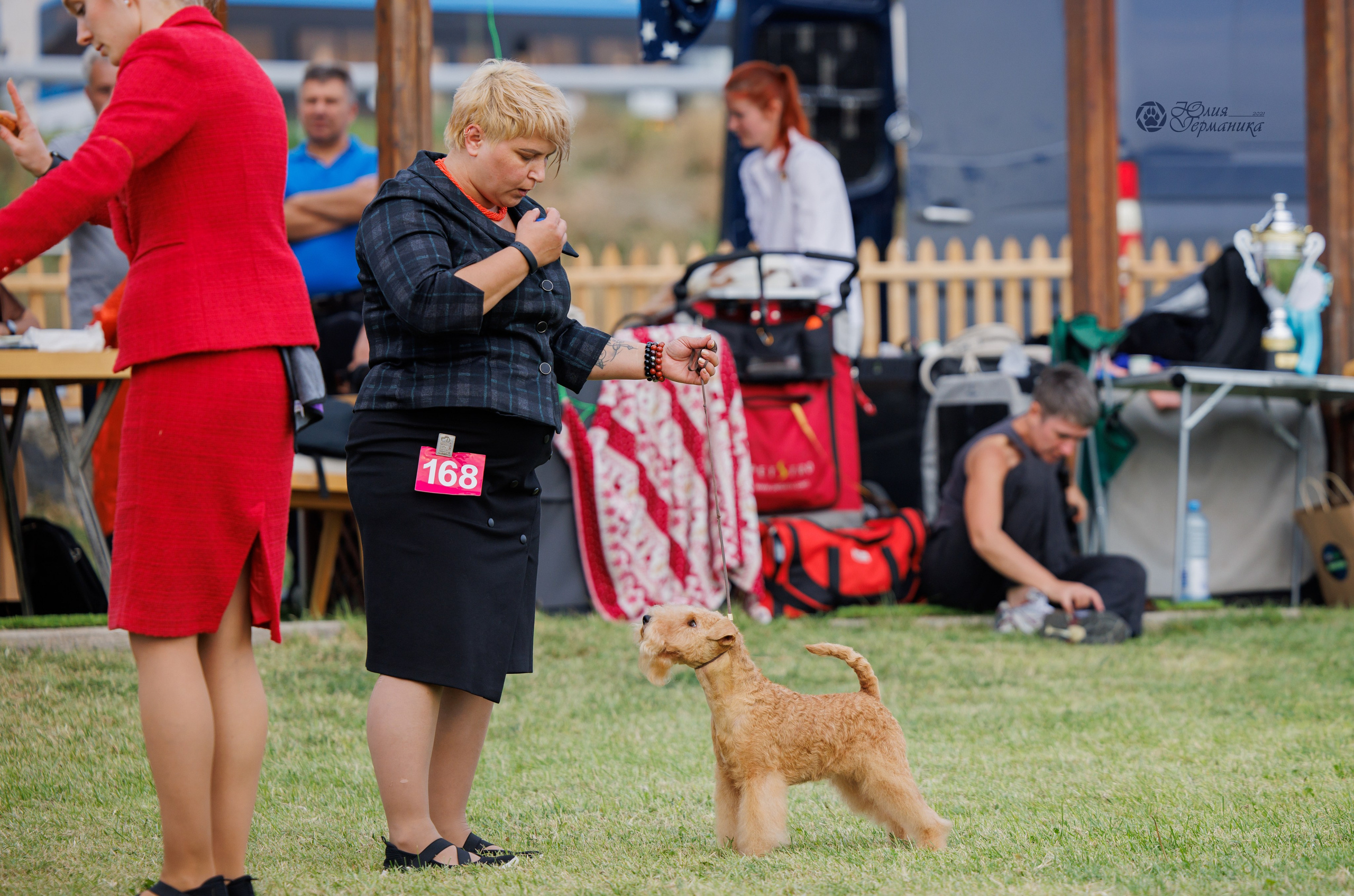 Армения,Ереван 3хCACIB 15-17.10.2024. Фотограф-анималист Юлия Германика