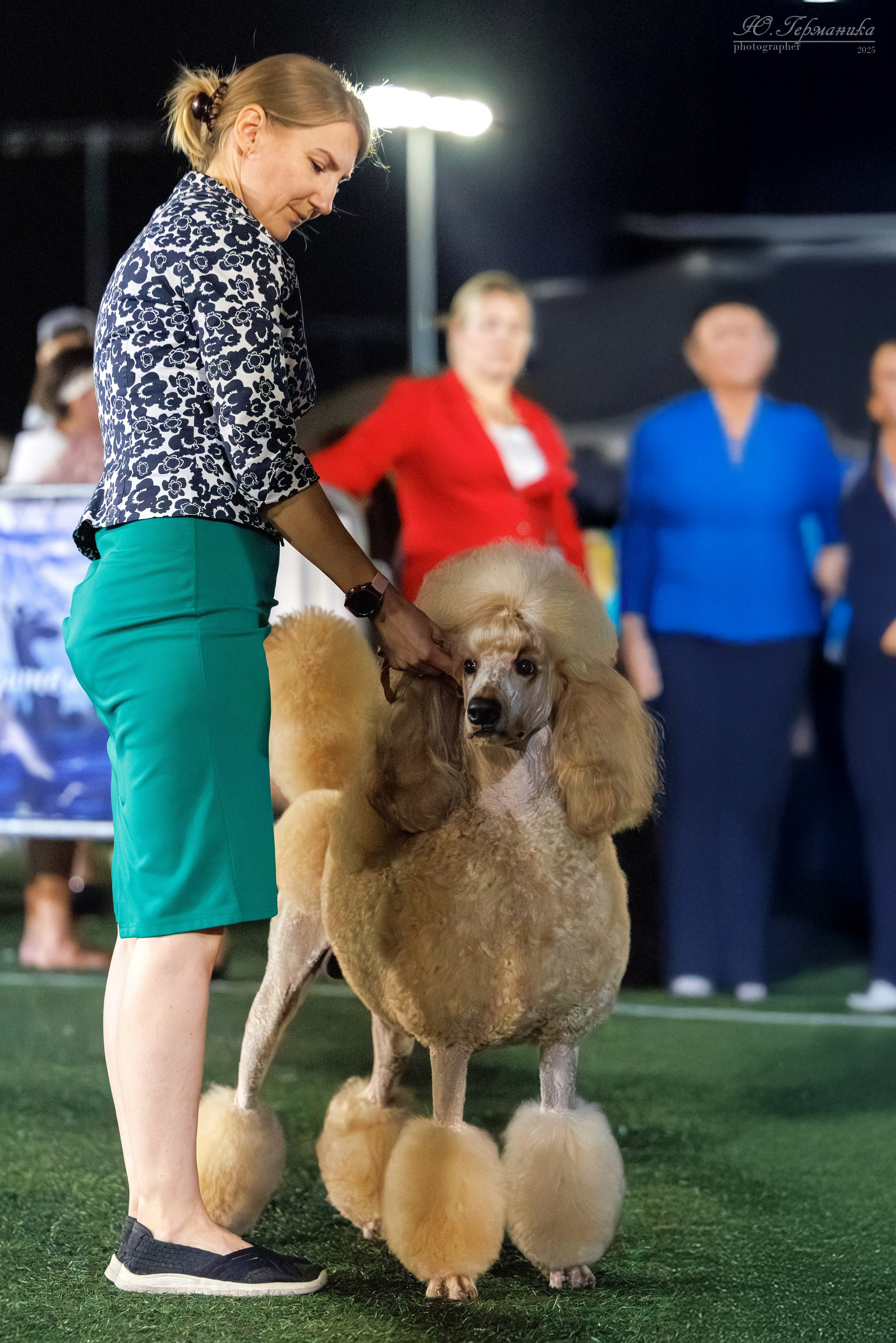 Калининград 25-27.07 Волгоград 1-3.08 2025. Фотограф-анималист Юлия Германика