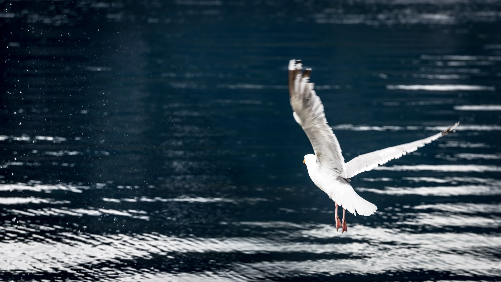 NATURE. Sailing Photographer Marina Semenova