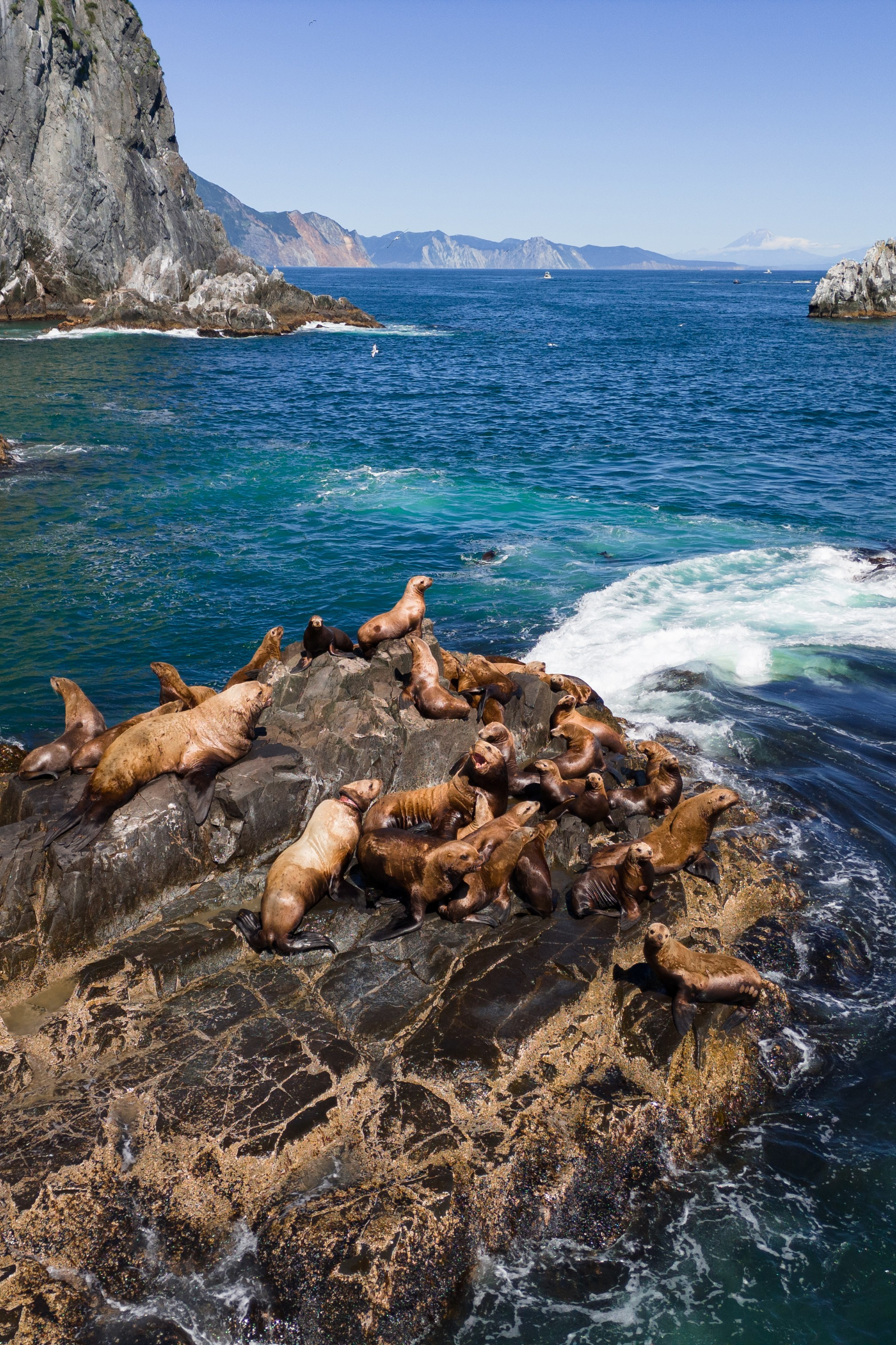 Пилот, фотограф и оператор Баркалова Светлана
