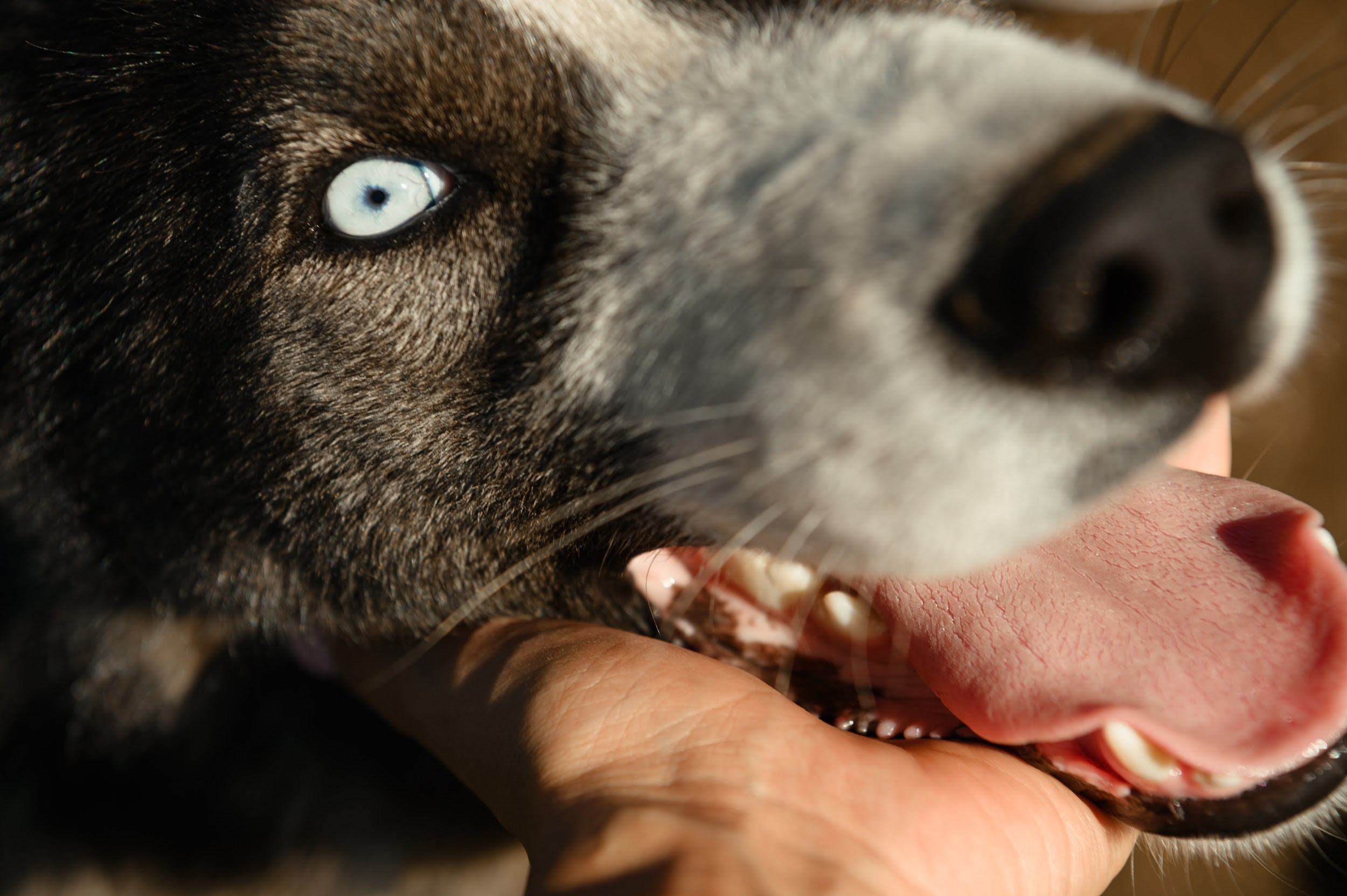 Камчатка 08.2024. Фотограф Марина Росси