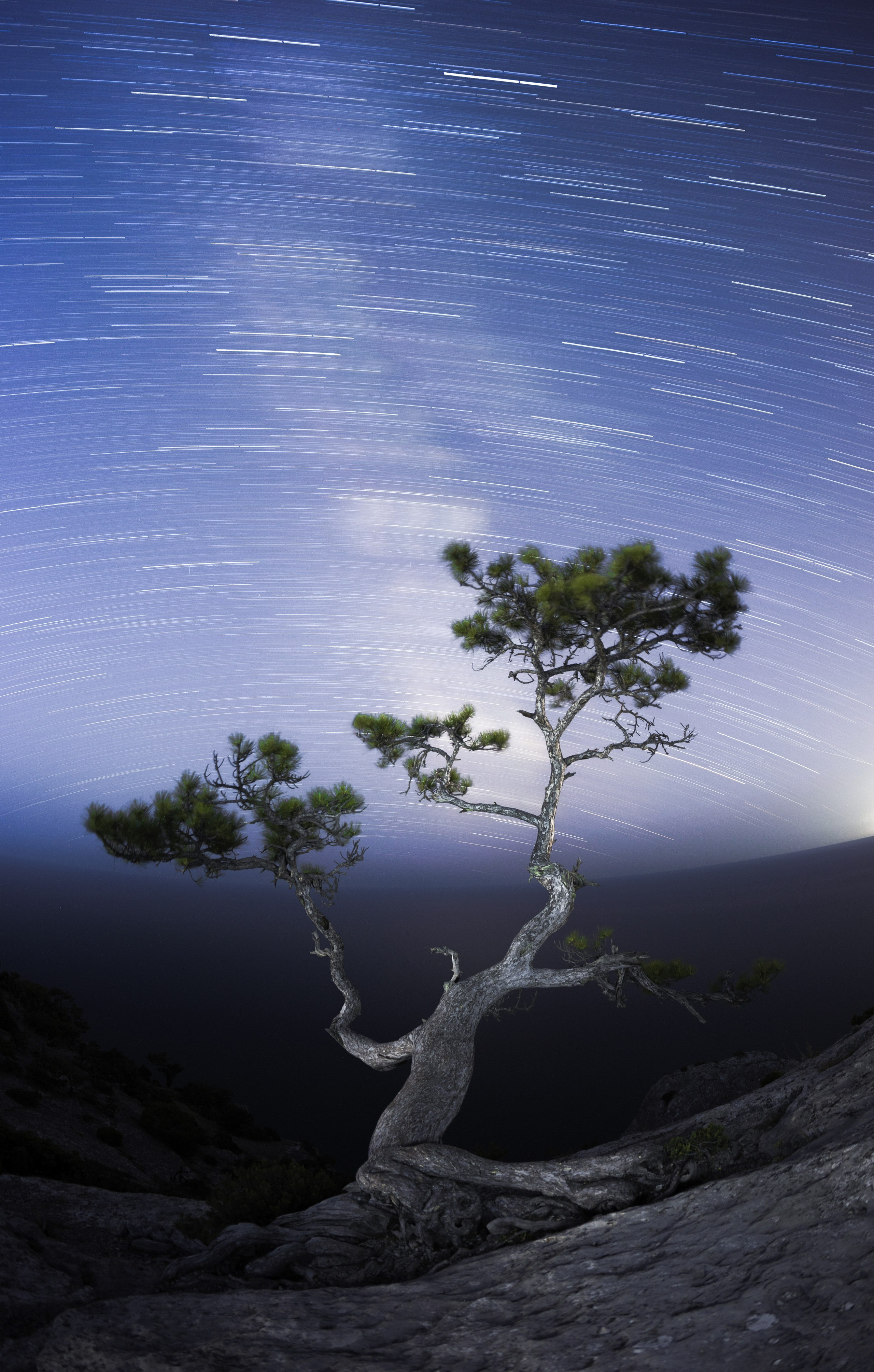 Природа. Глеб Захаренко — спортивный и репортажный фотограф в Крыму