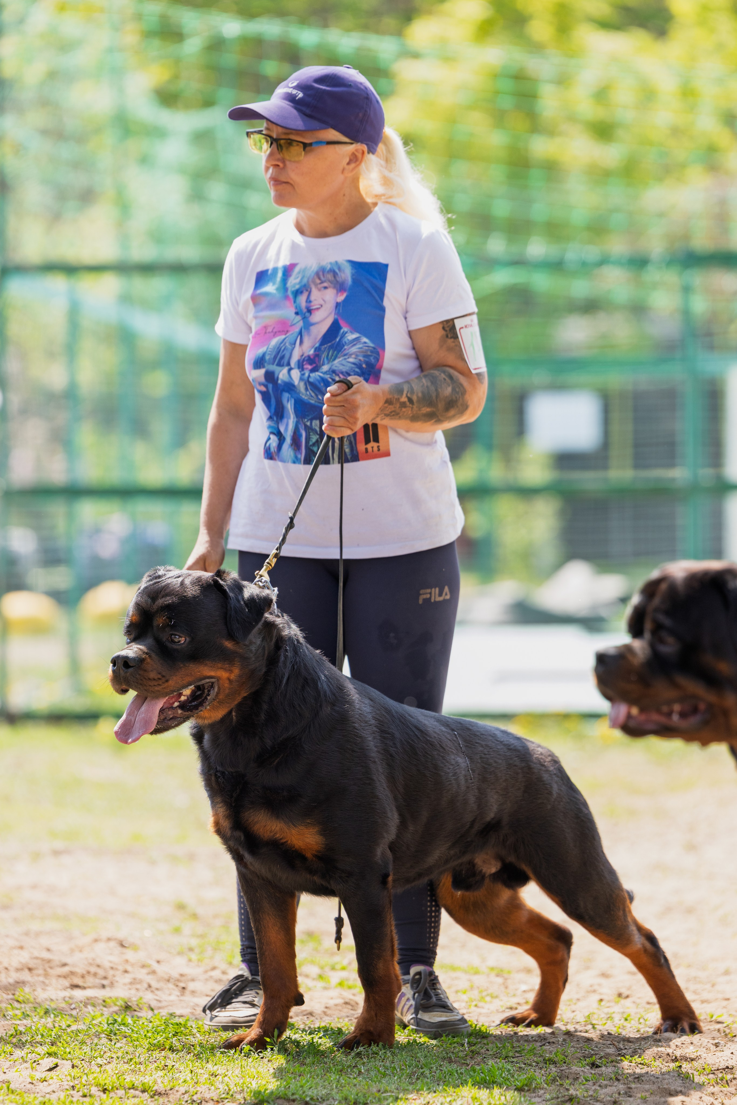 Саратов моно ротвейлеров 26-27.04.2025. Фотограф-анималист Юлия Германика