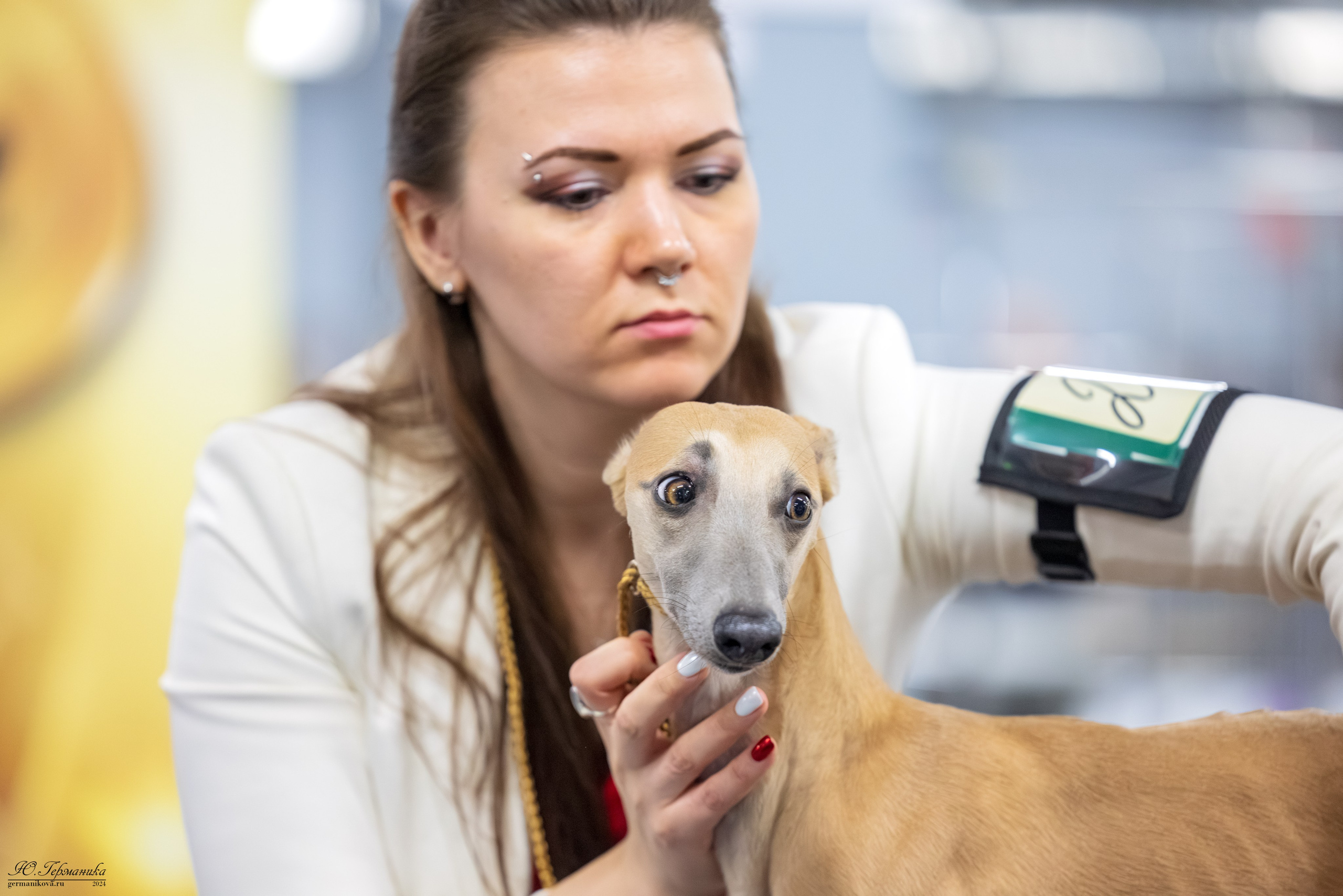 Сфера 17.03.2024. Фотограф-анималист Юлия Германика