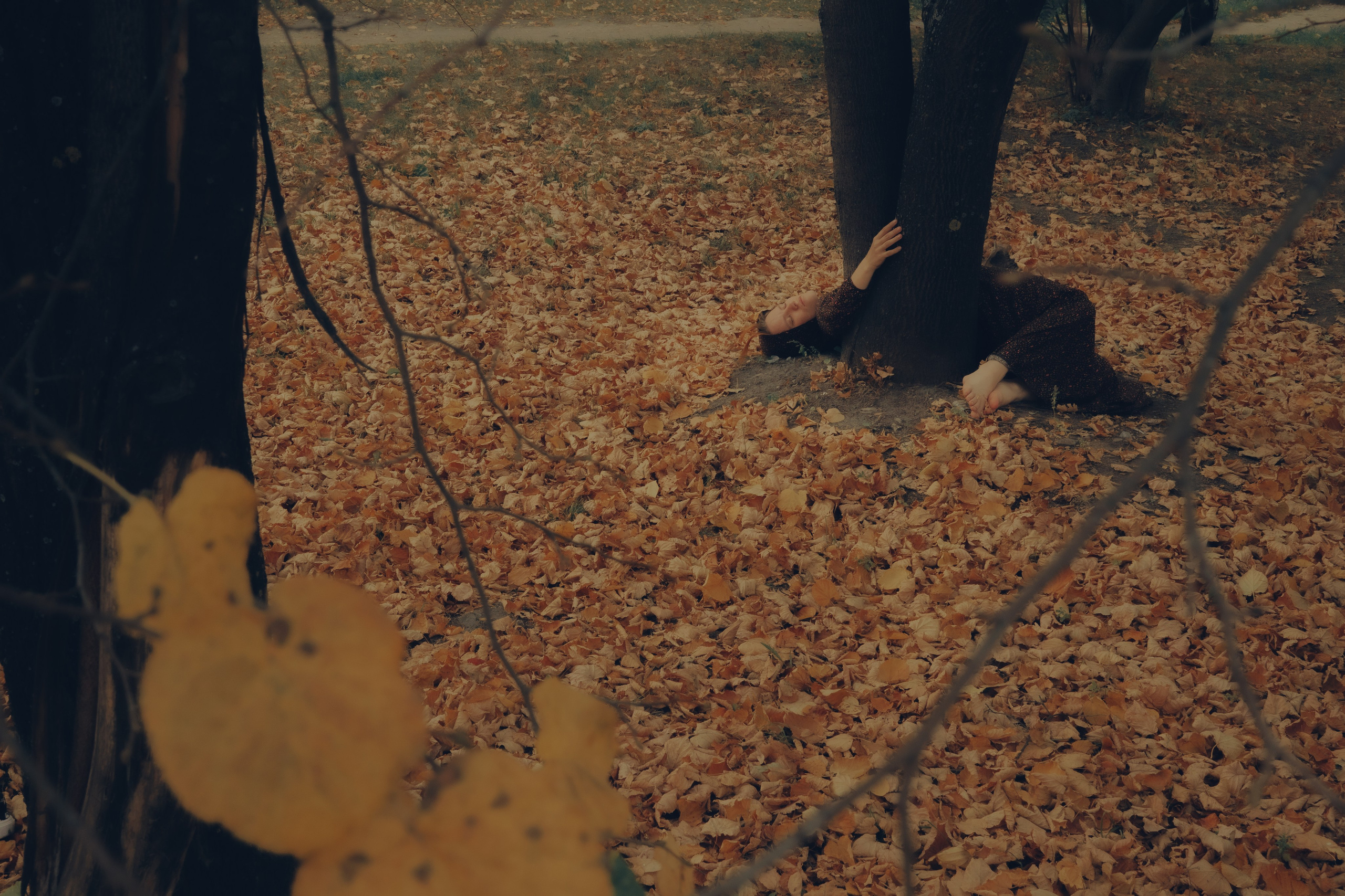 Художественная фотография, Фотосессия в желтых листьях в Казани