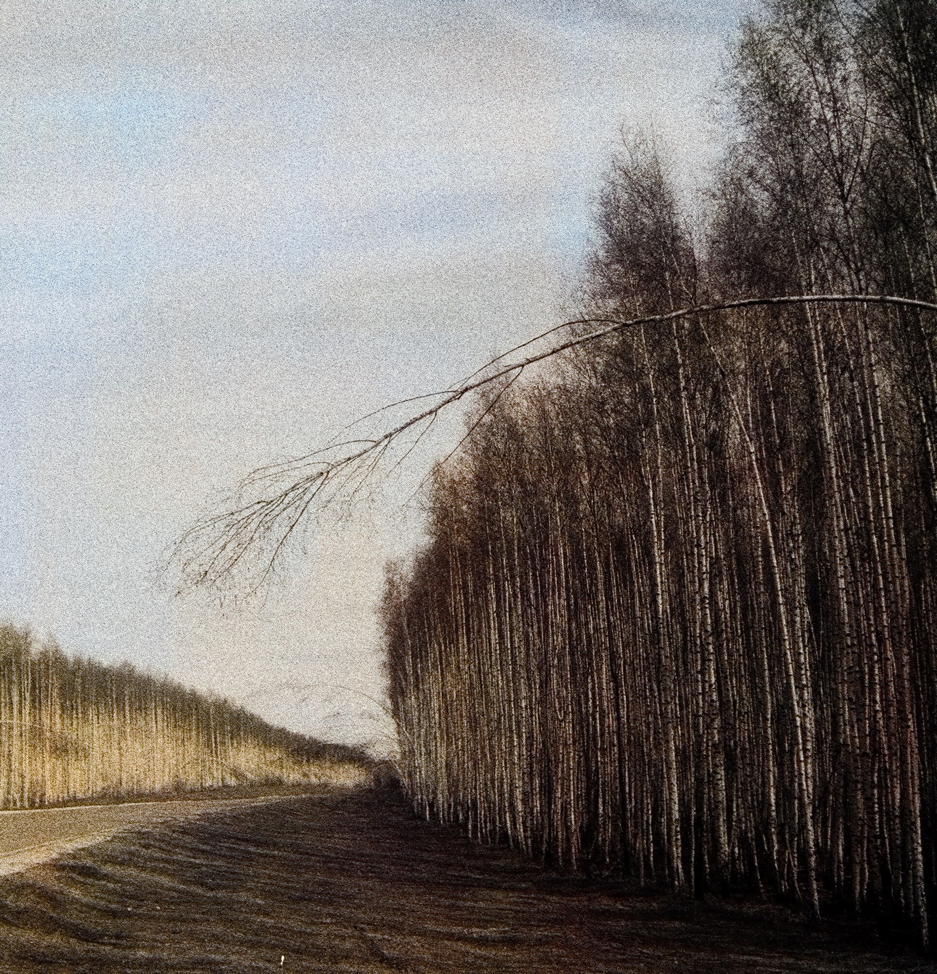 Натура. Фотограф — Маслеников Константин