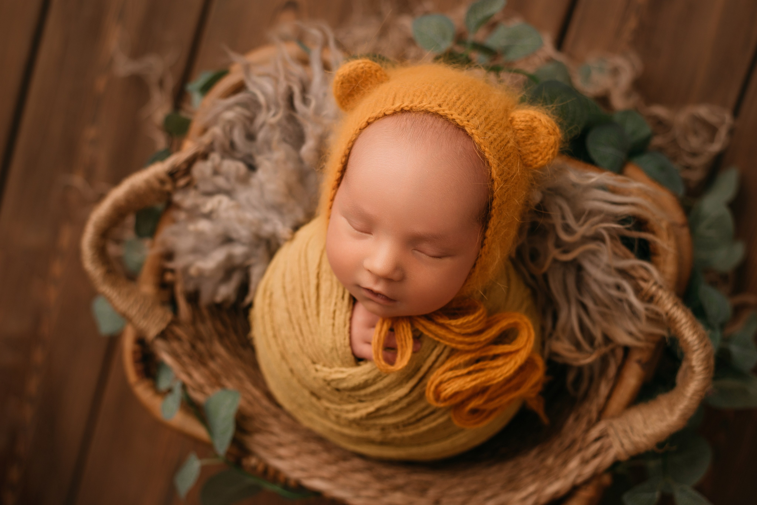 Лев. Фотограф новорожденных Белгород