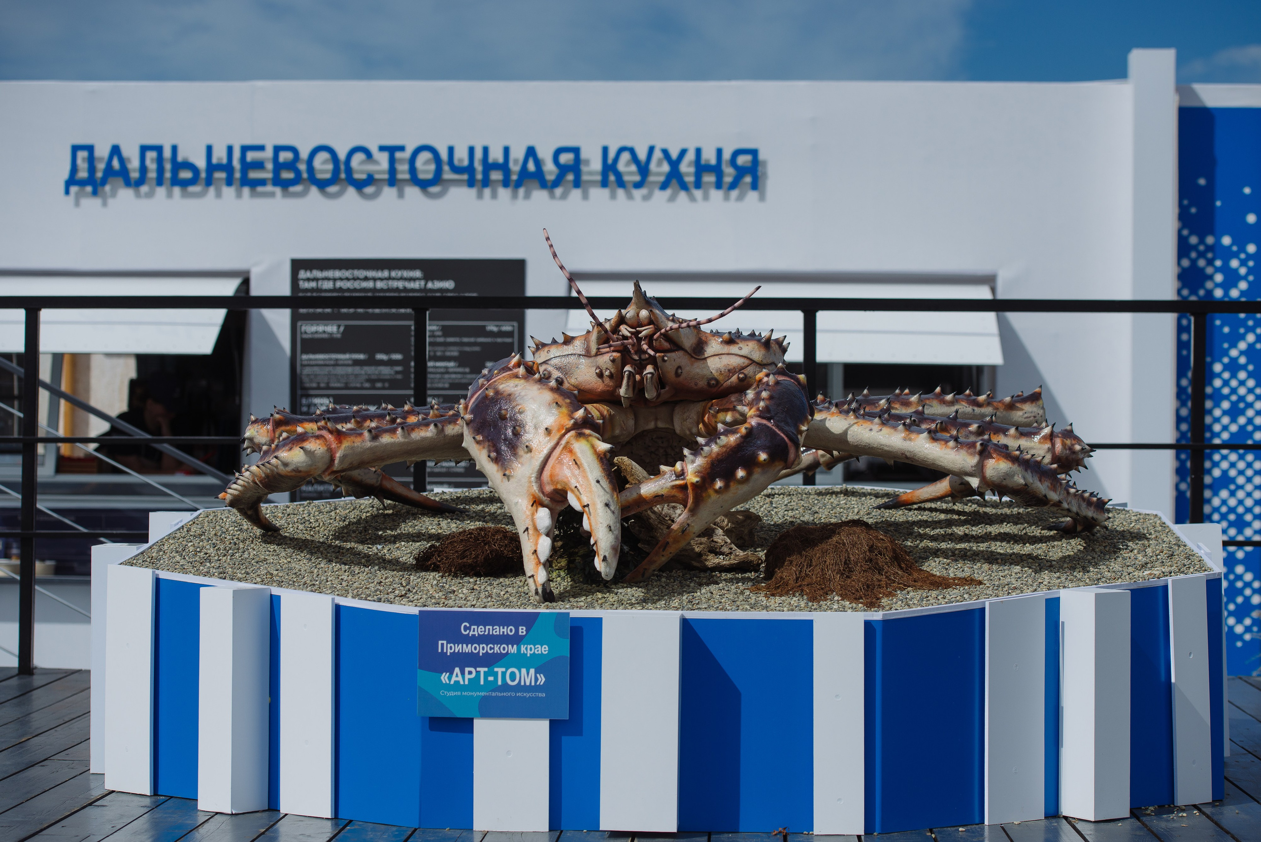 ВЭФ 2024. Фотограф Мария Каюрова