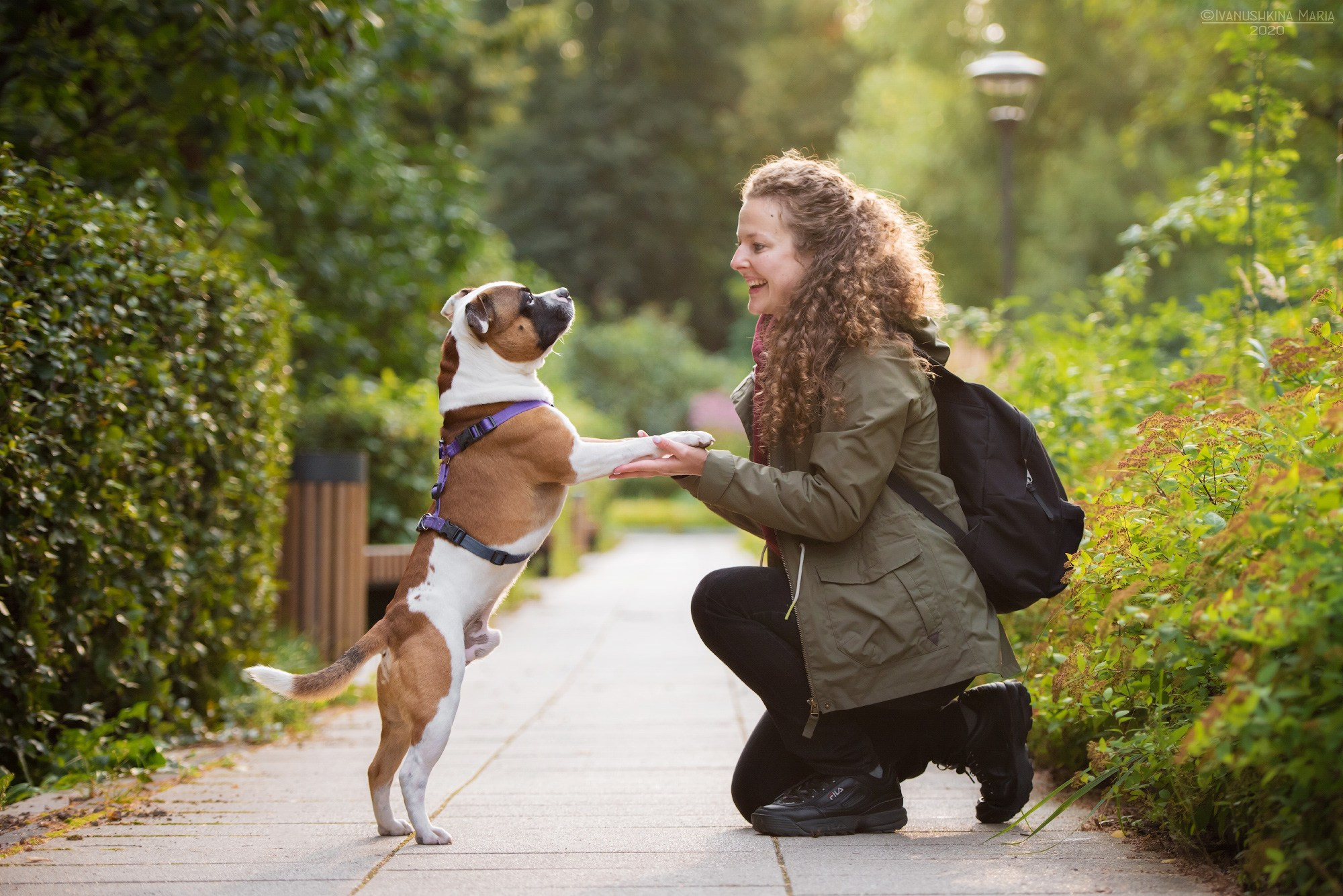 Фотосессия с собакой. Фотограф собак в Москве и Московской области Иванушкина Мария