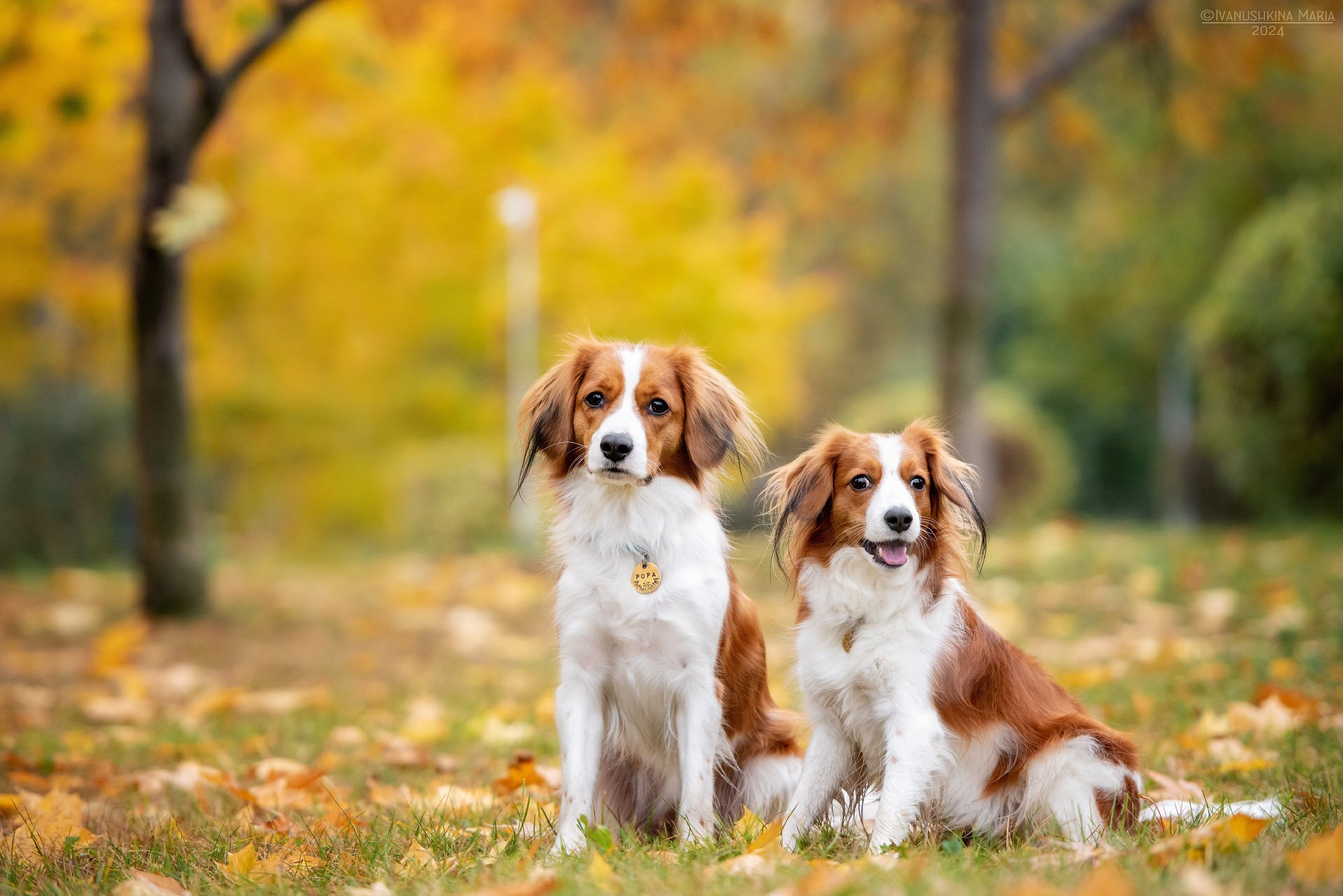 койкерхондье