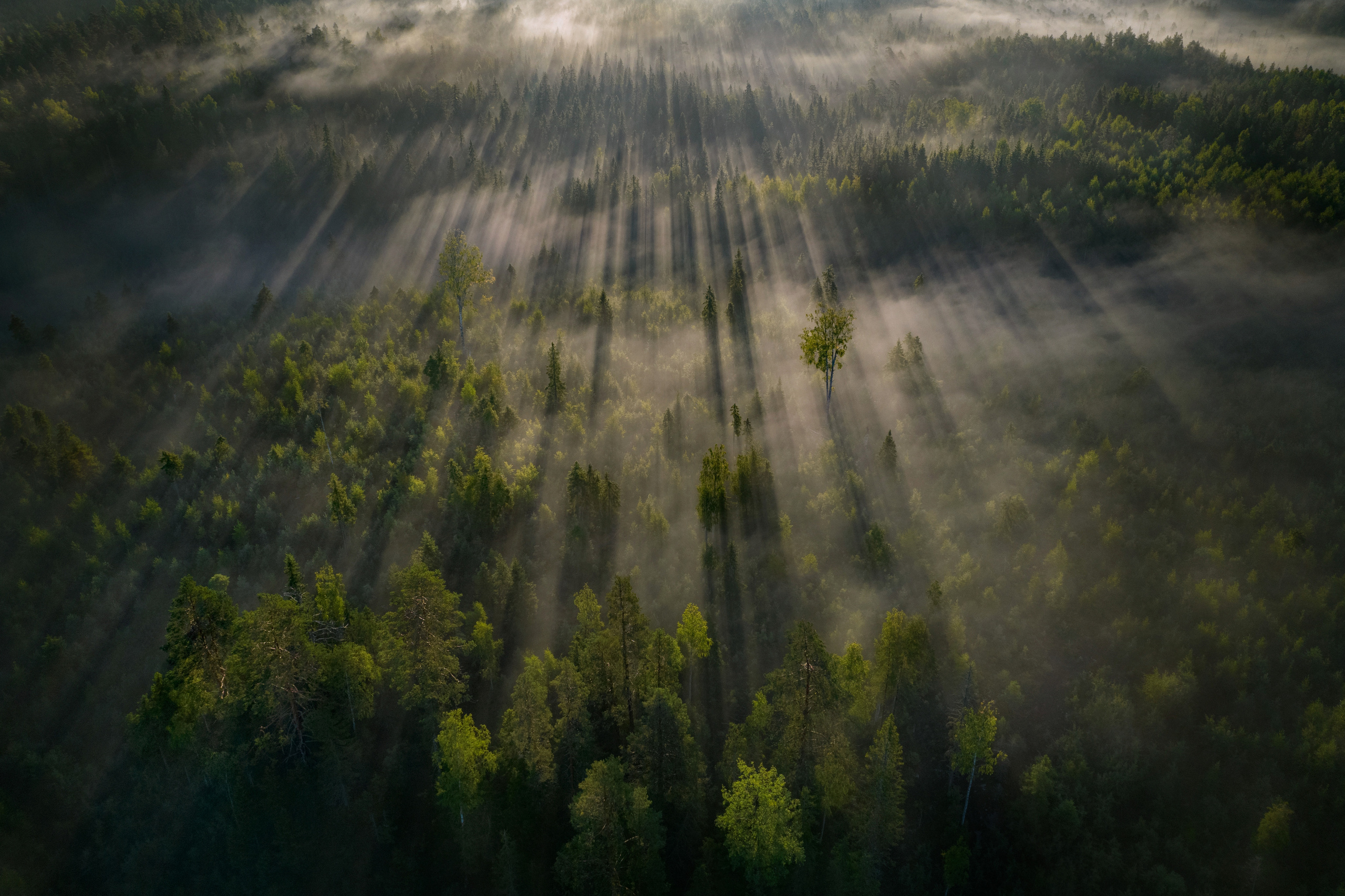 Карелия. Пейзажный фотограф Ермолина Елена