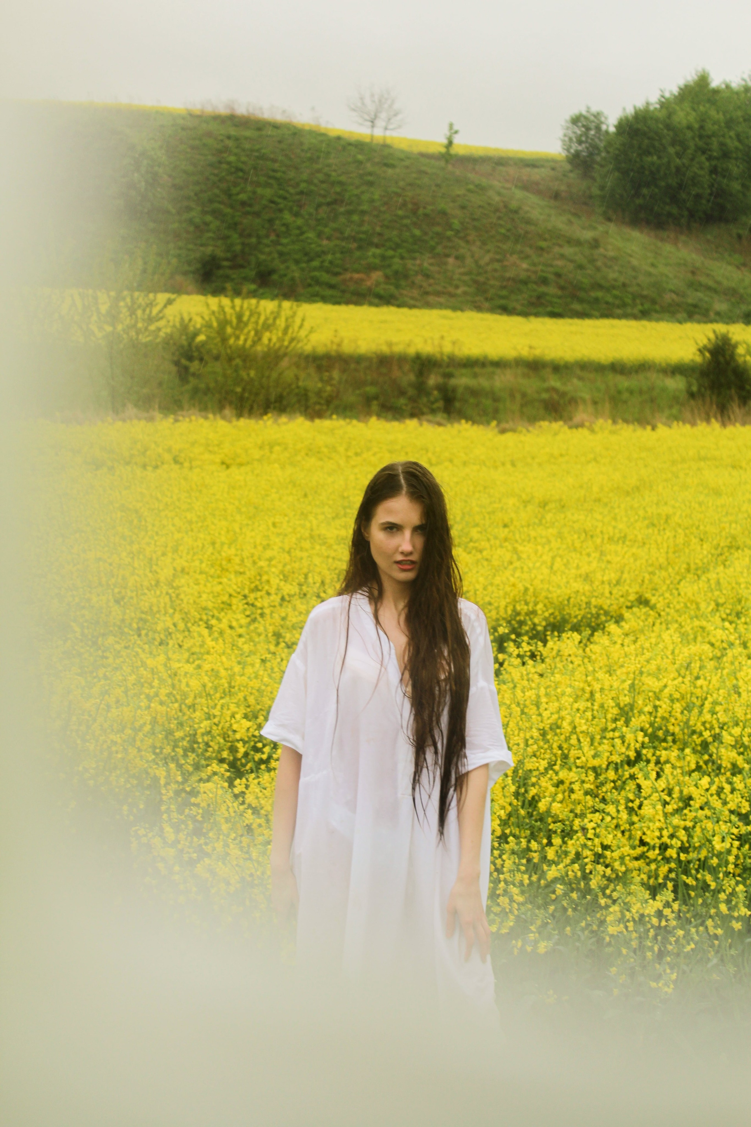 Портрет. Violinn.Photo