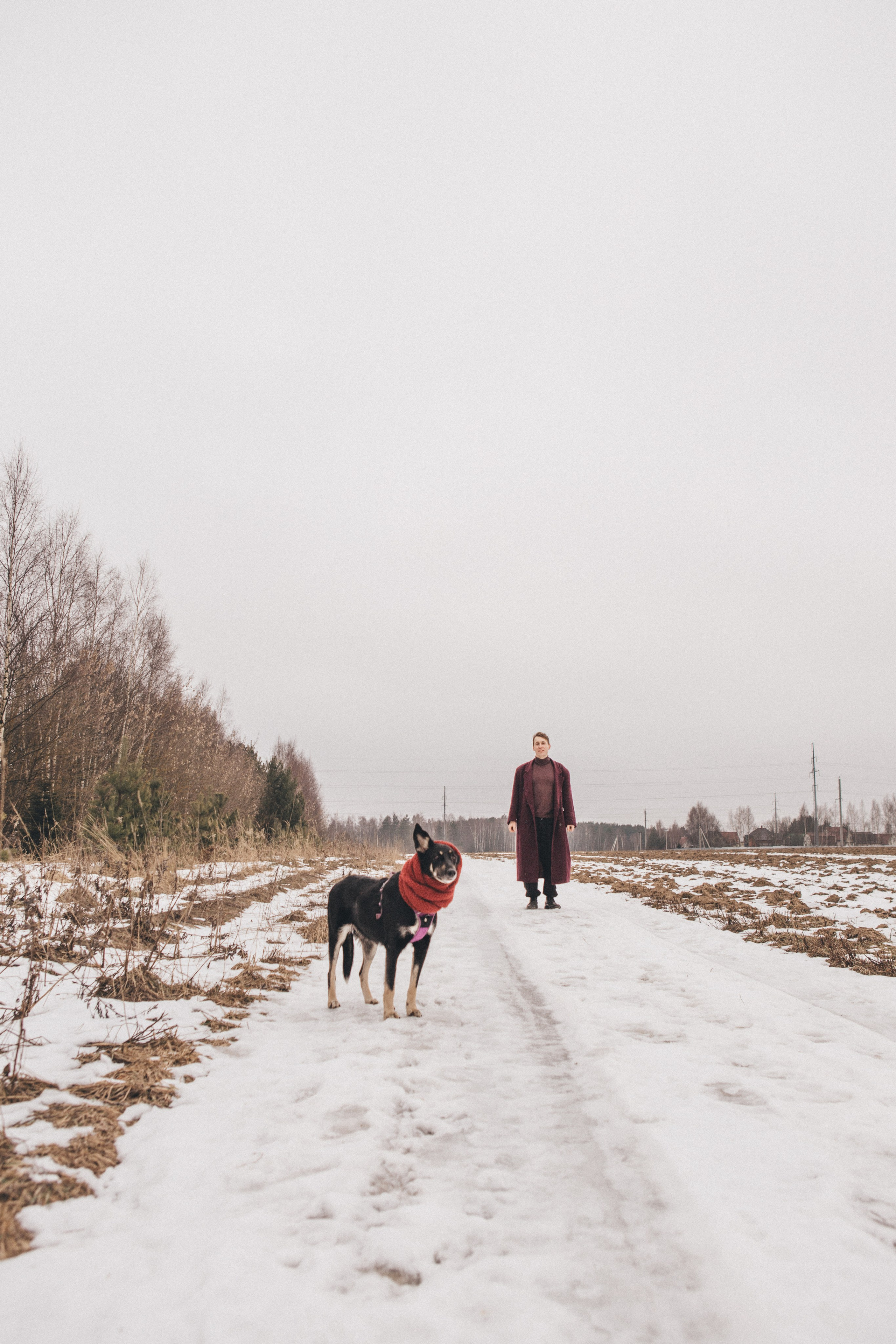 A cinematic tale of true love and unbreakable friendship between a man and a dog. Portrait, family and pet photographer in Cyprus, Ksenia Bourdelle