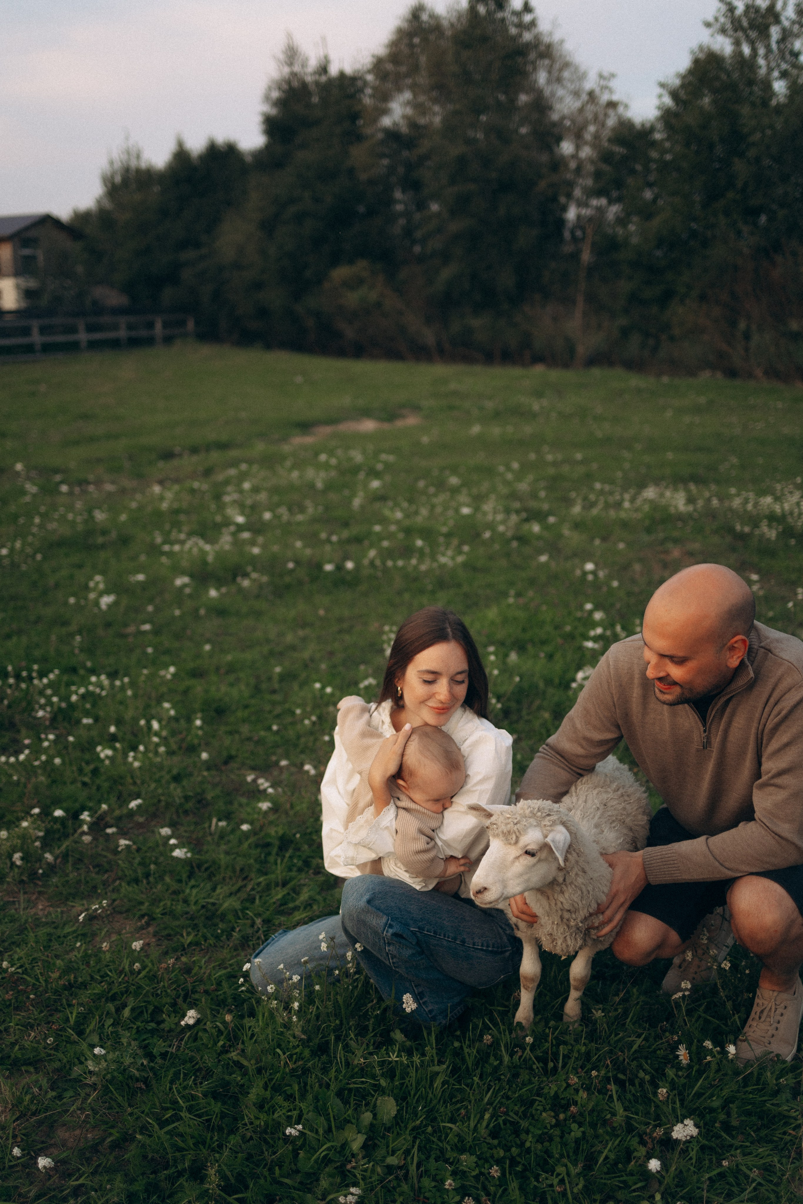Семейная. Фотораф — анималист Мария Шистка