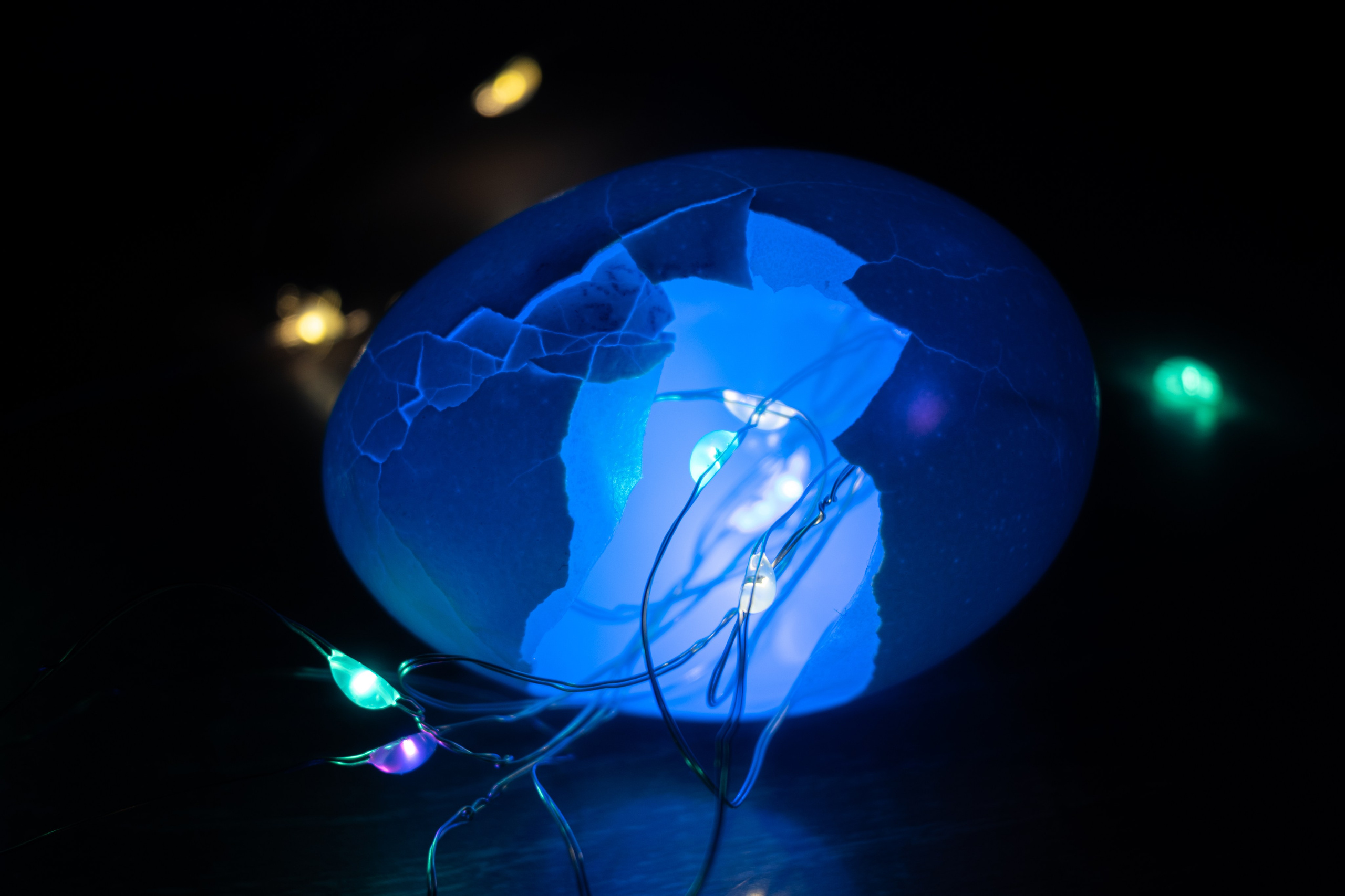 Баловство со светом. Фотограф и видеограф в Москве Анна Матюхина