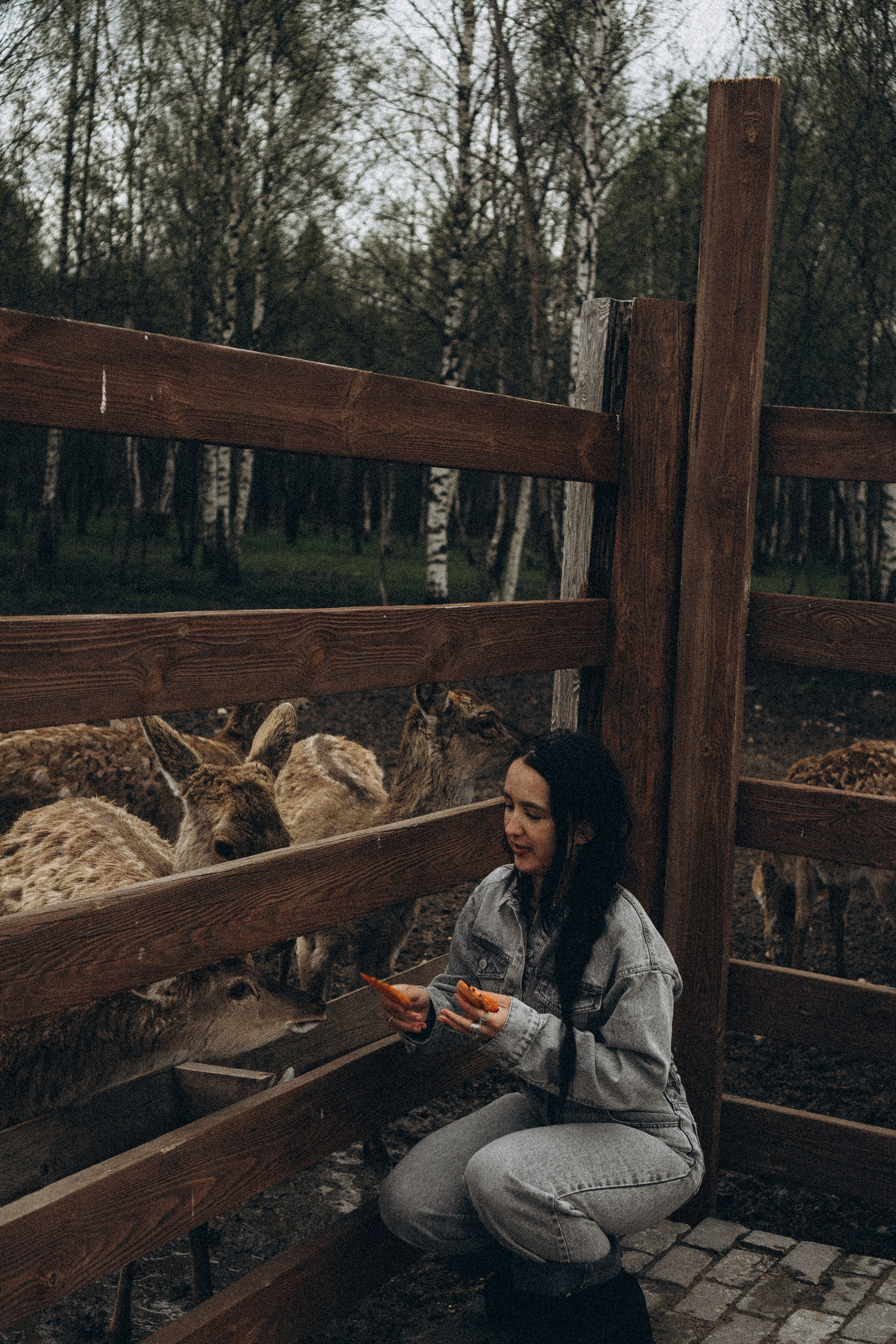 ОЛЕНЬЯ ФЕРМА В ТВЕРИ. Профессиональный фотограф, Санкт-Петербург — Виктория Богомолова