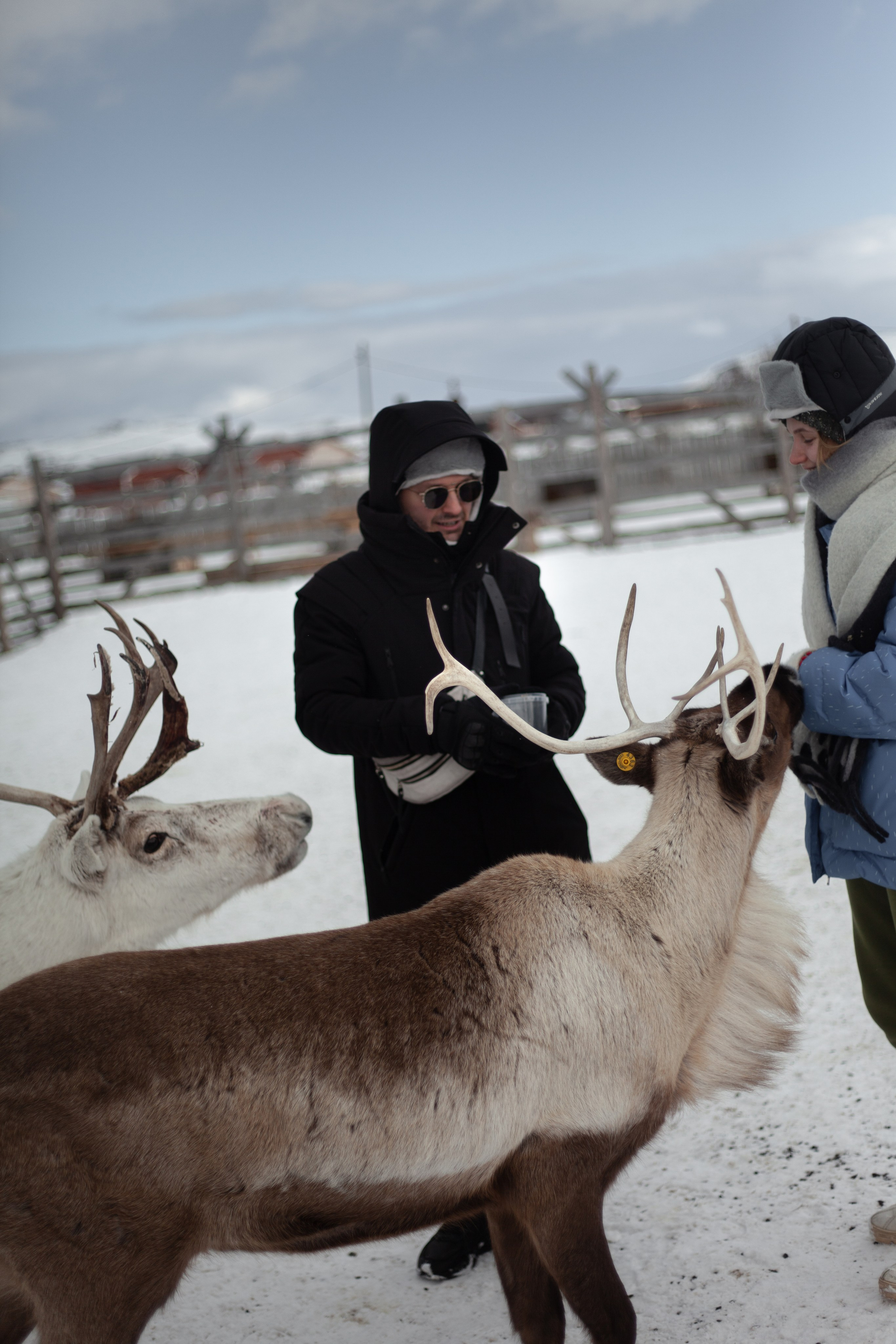 Путешествие по Териберке. Северное сияние. Уникальные экспедиции — LUCKY CLAN