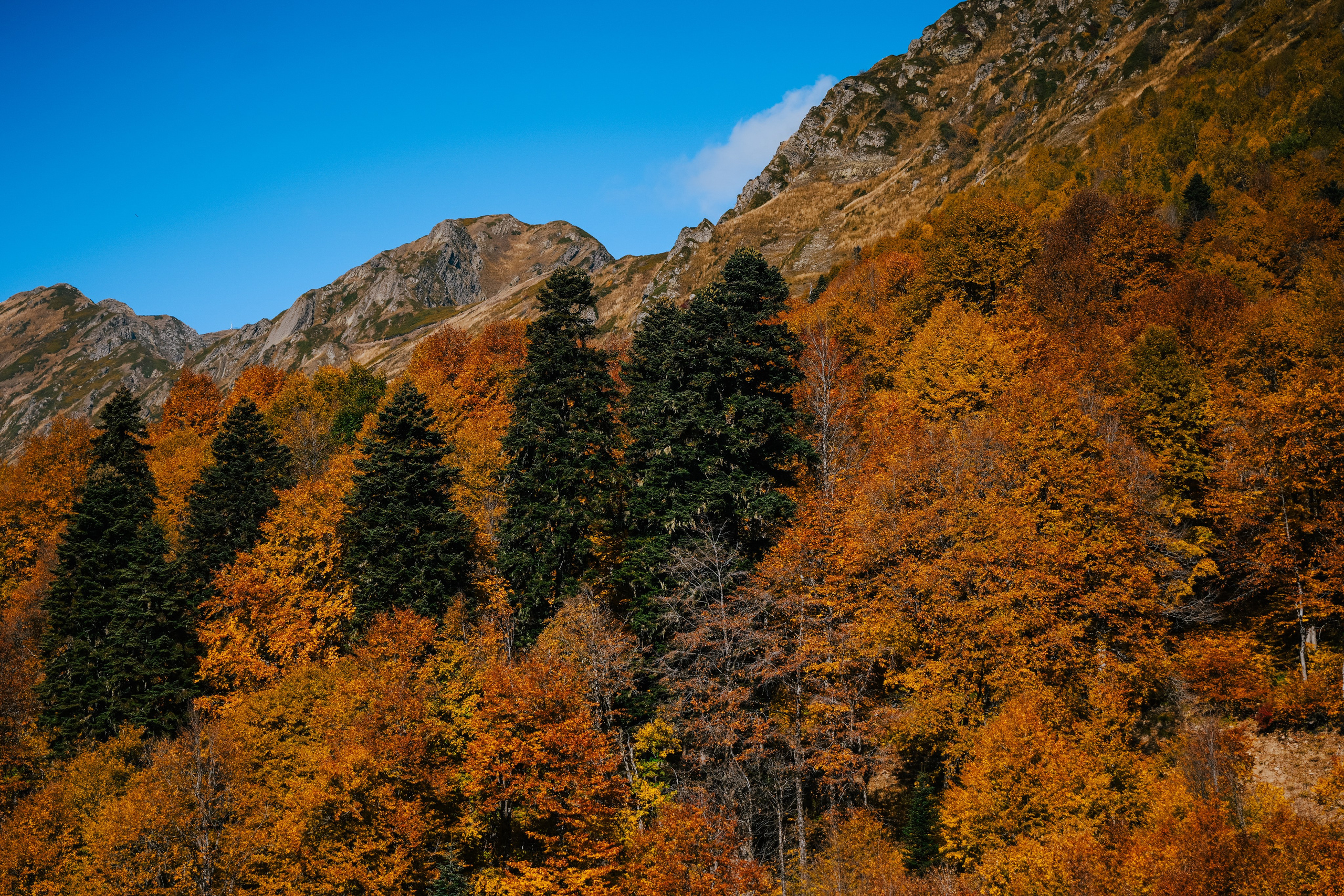 Роза Пик, тропа Турья ✽ Октябрь. Репортажный фотограф | Роза Хутор Красная Поляна Сочи Сириус