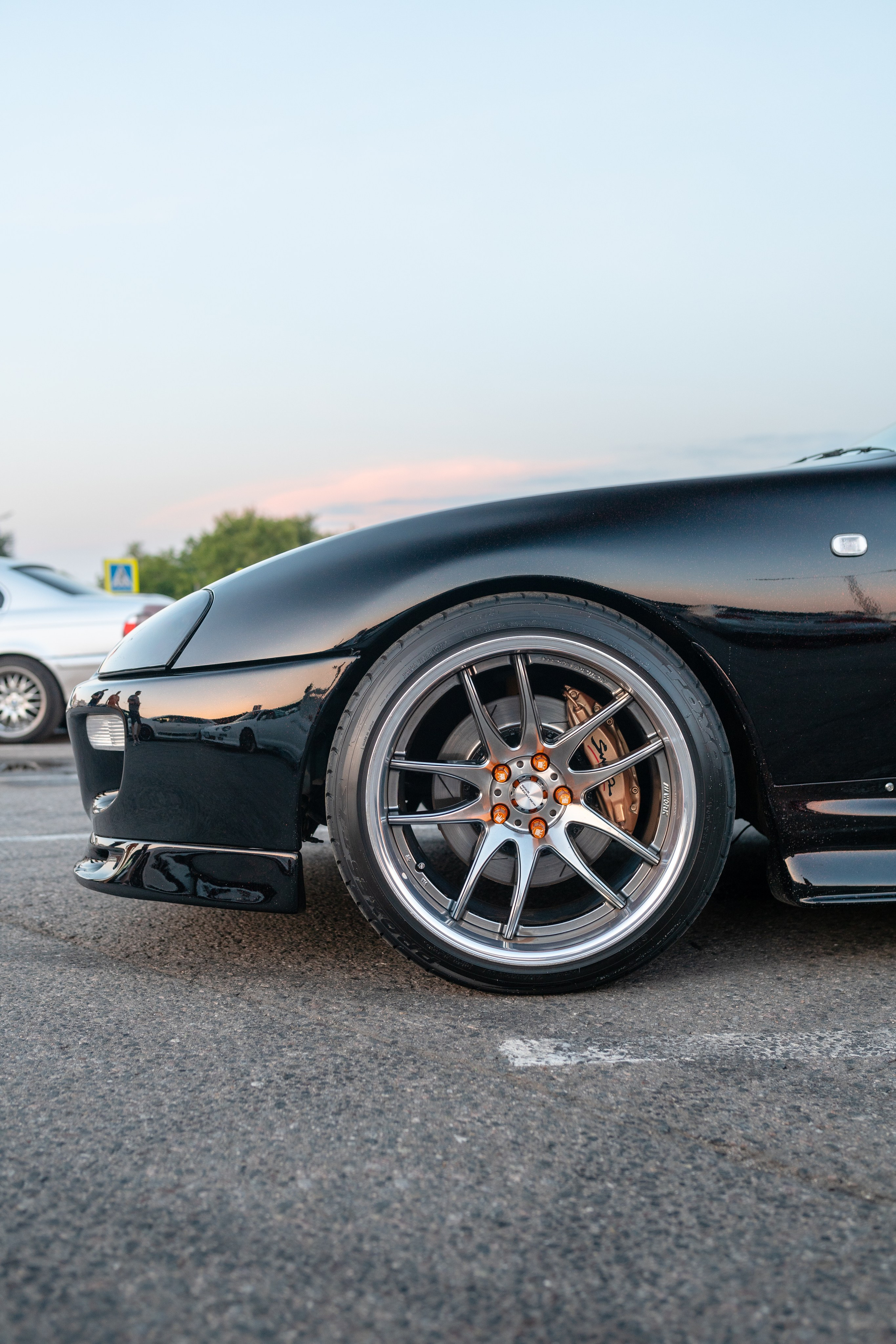 DOWNFLY | 13.07.2024. Mirllaev