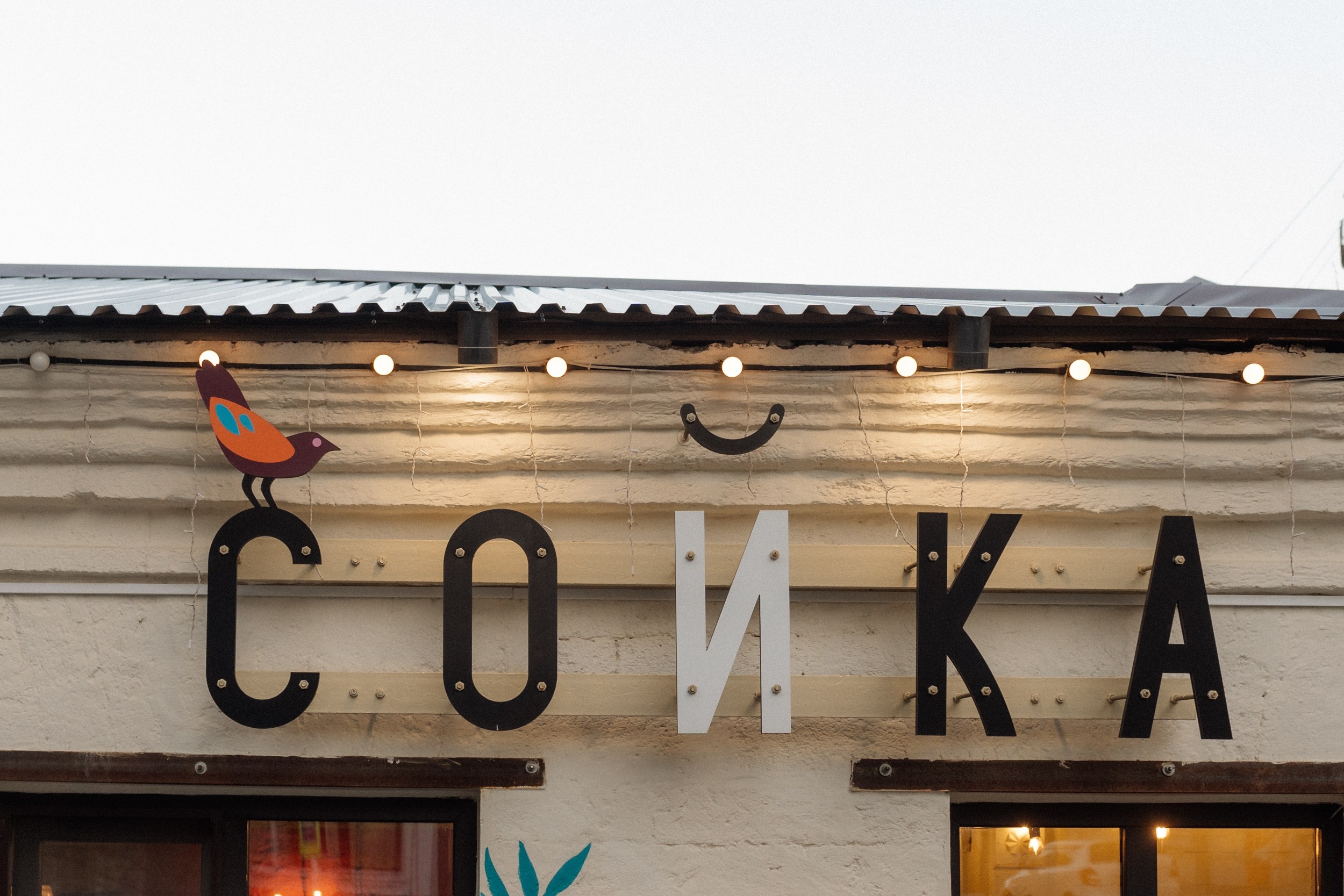 Сойка (Гастровечер). Фотограф Ирина Романова