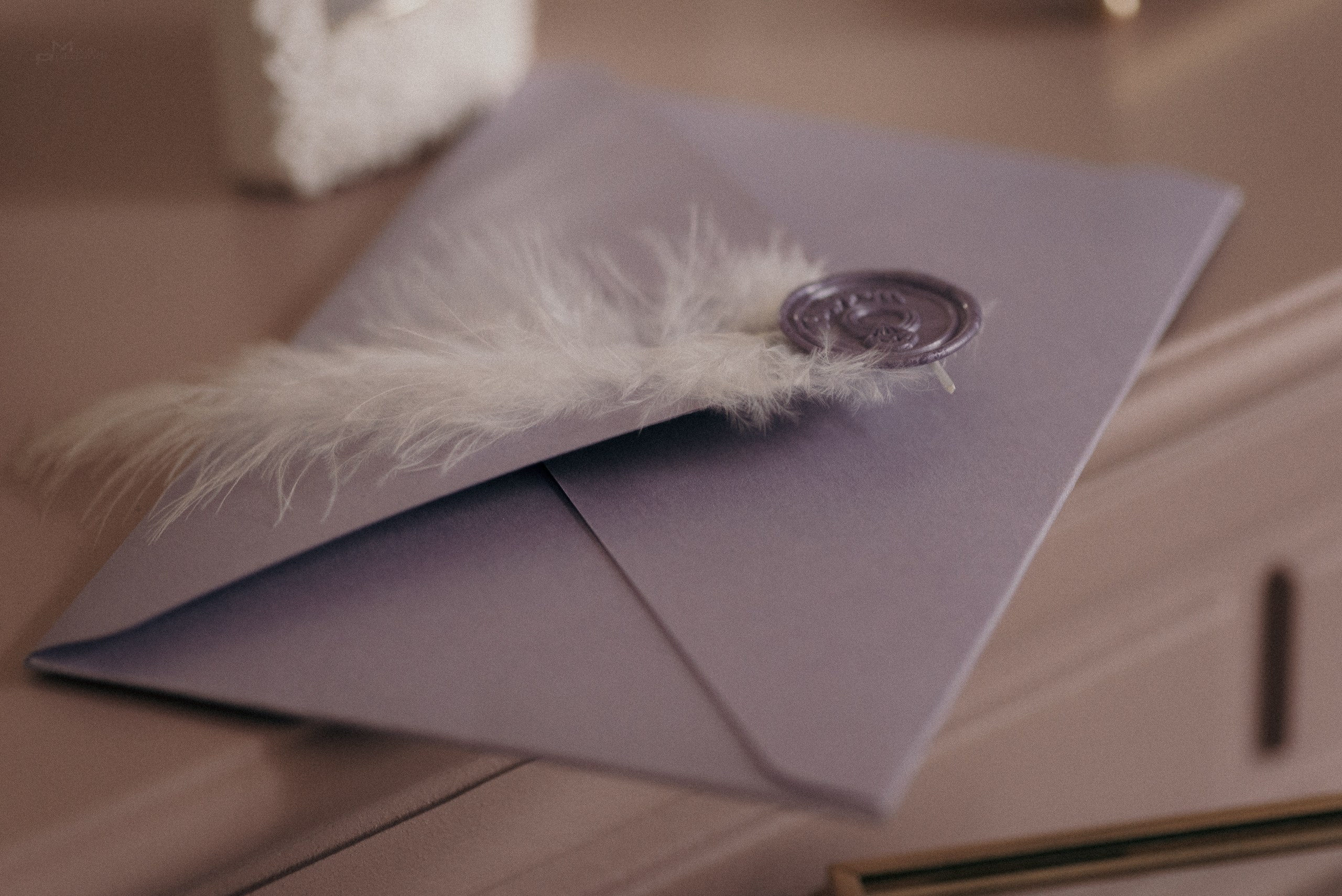 Serg + Anna. Фотограф/видеомейкер в Минске, Москве, Витебске, видеосьемка