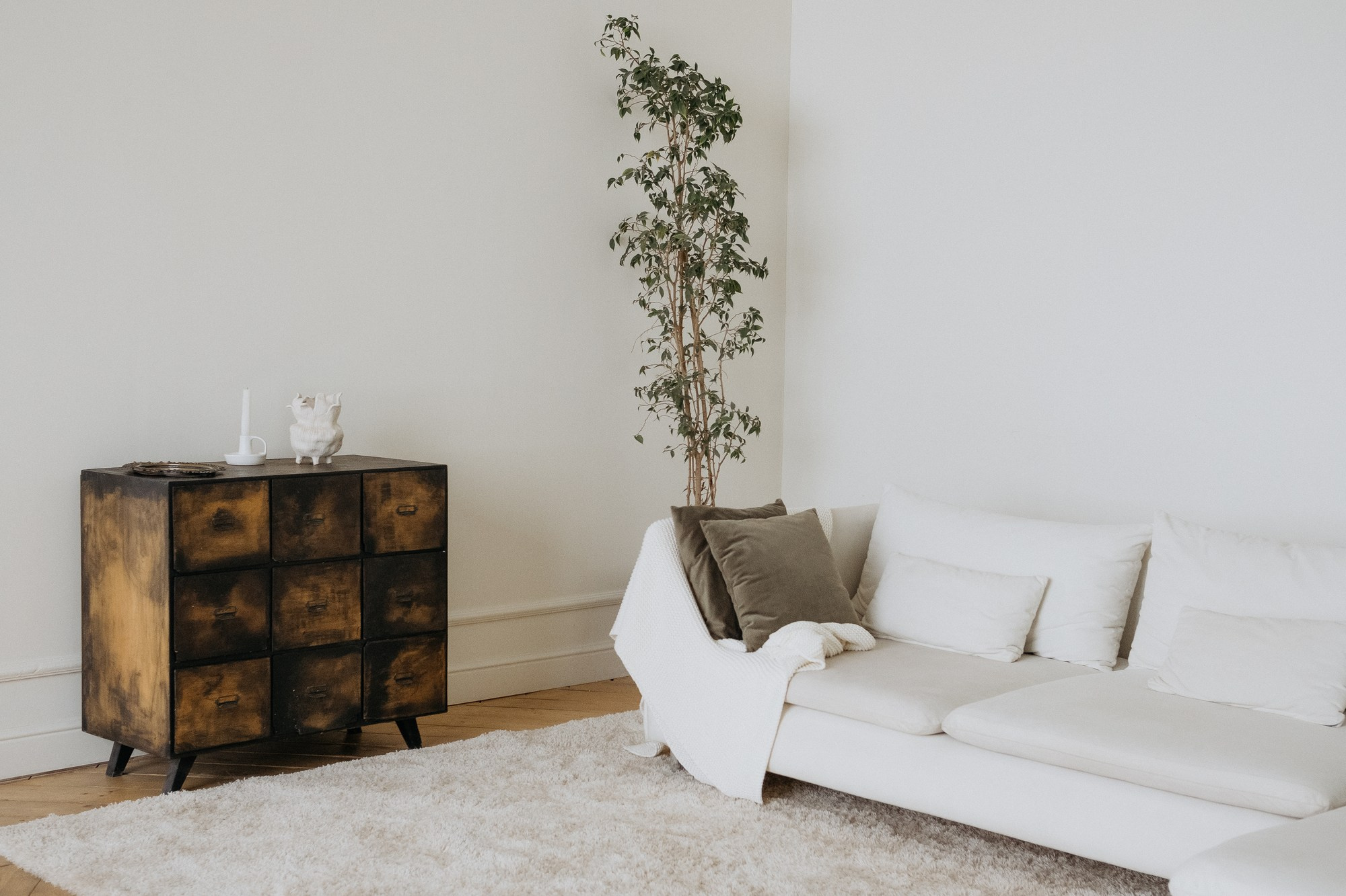 Зал ДАЧА. Детский семейный фотограф Краснодар