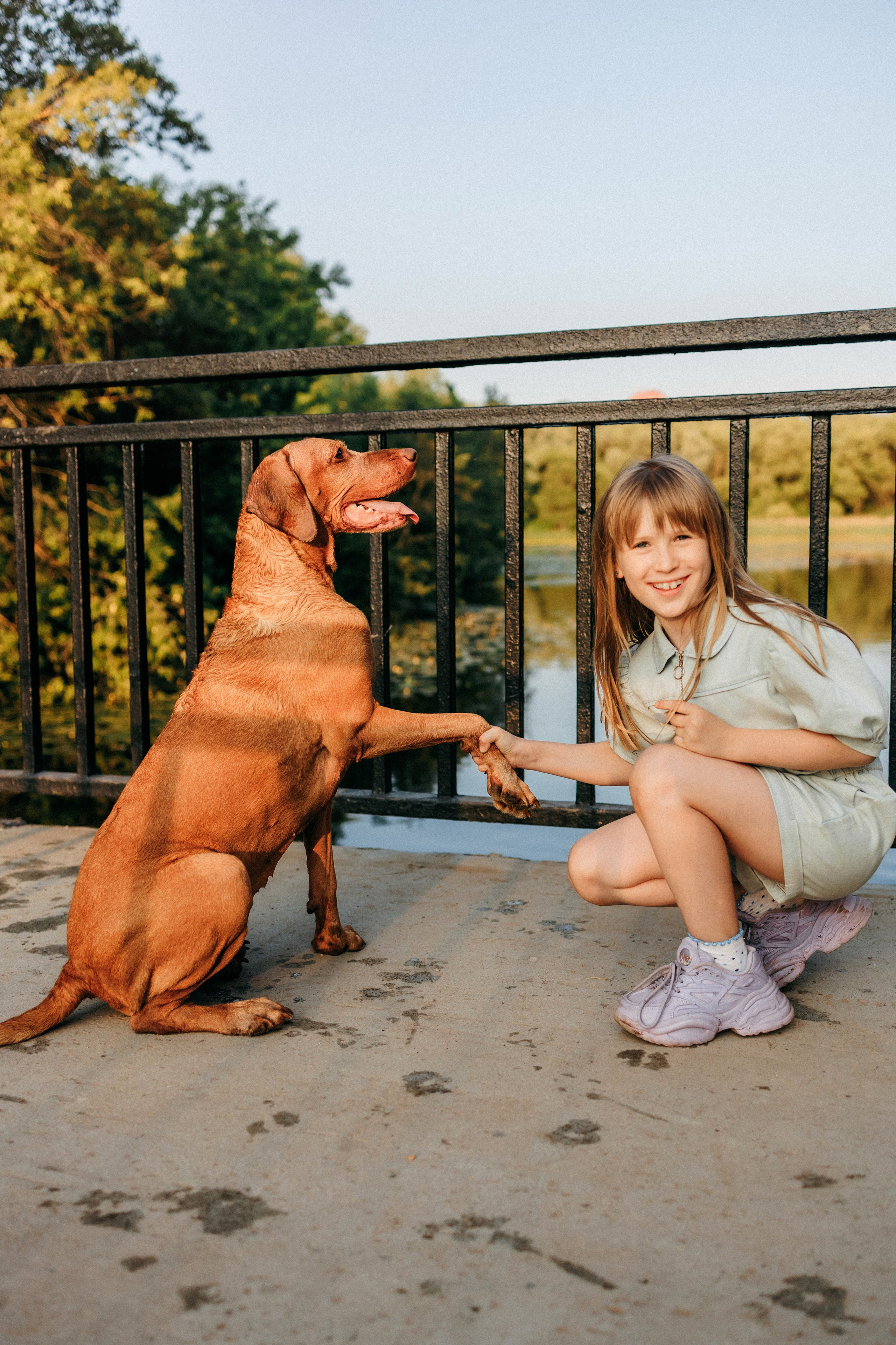 Марина, Глеб, Мая и Чили. Фотограф-анималист Елена Радченко, Москва