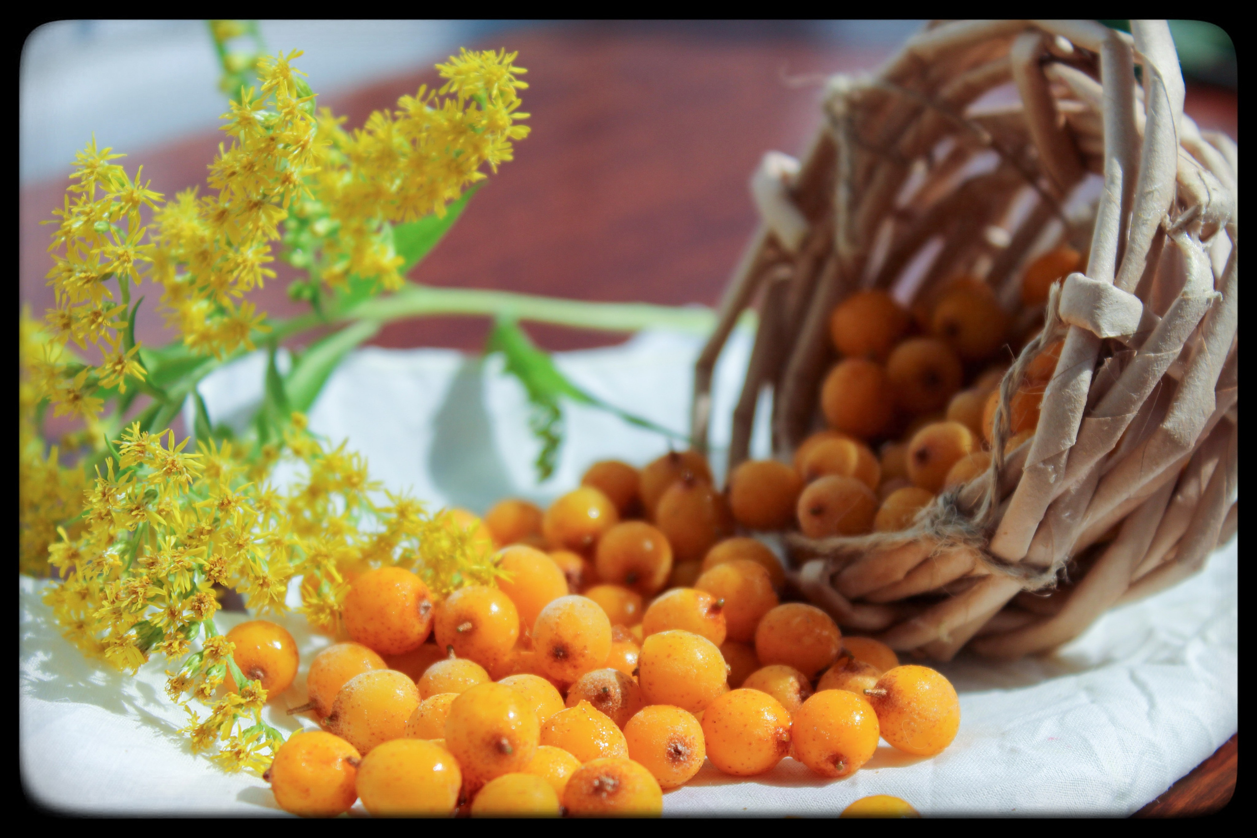 Предметная съемка,съемка для маркетплейсов. Мария Чашина. Семейный и детский фотограф г. Москва