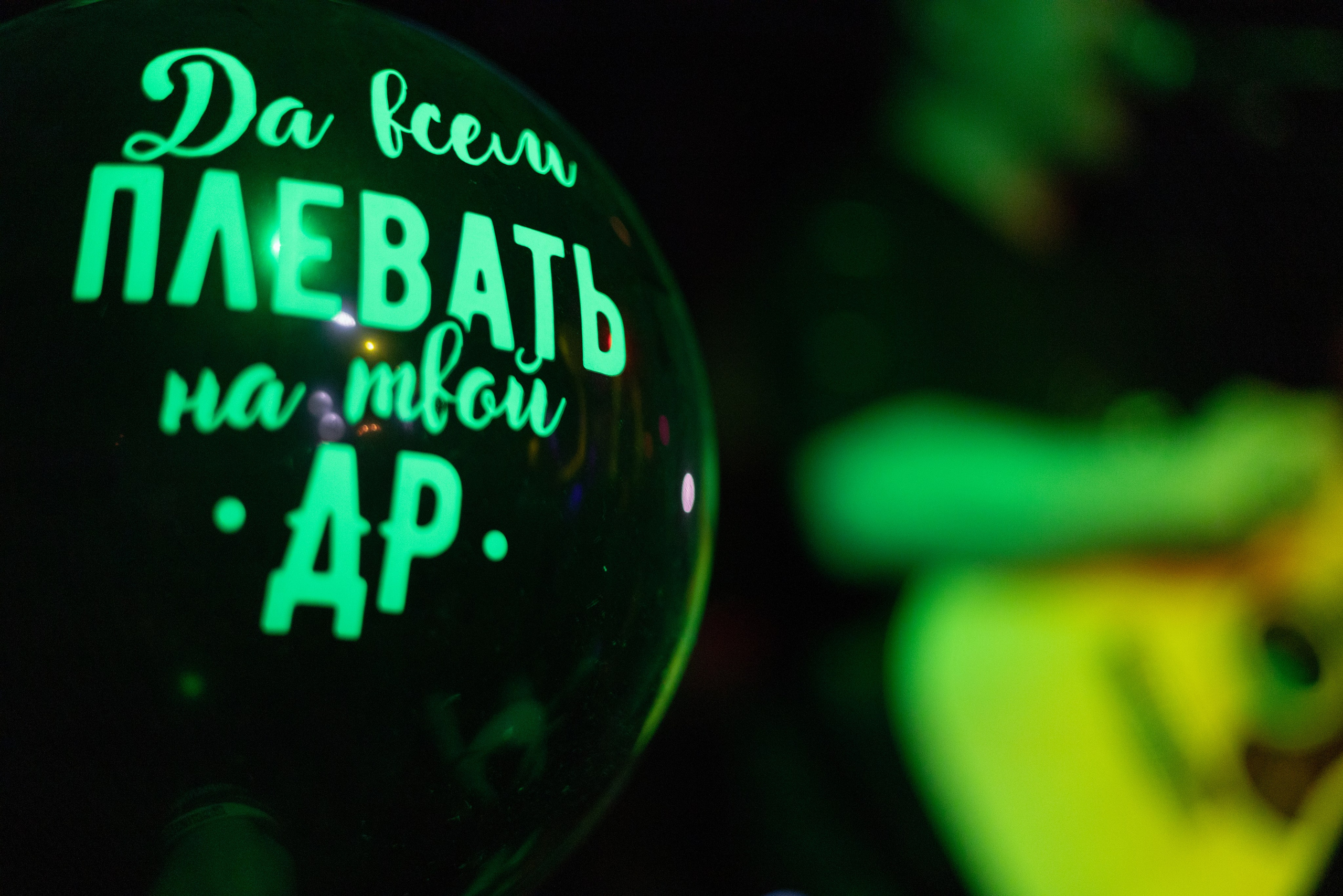 Анимация (17.05.2024). Toxasnip Photo | Anton Maslenkin