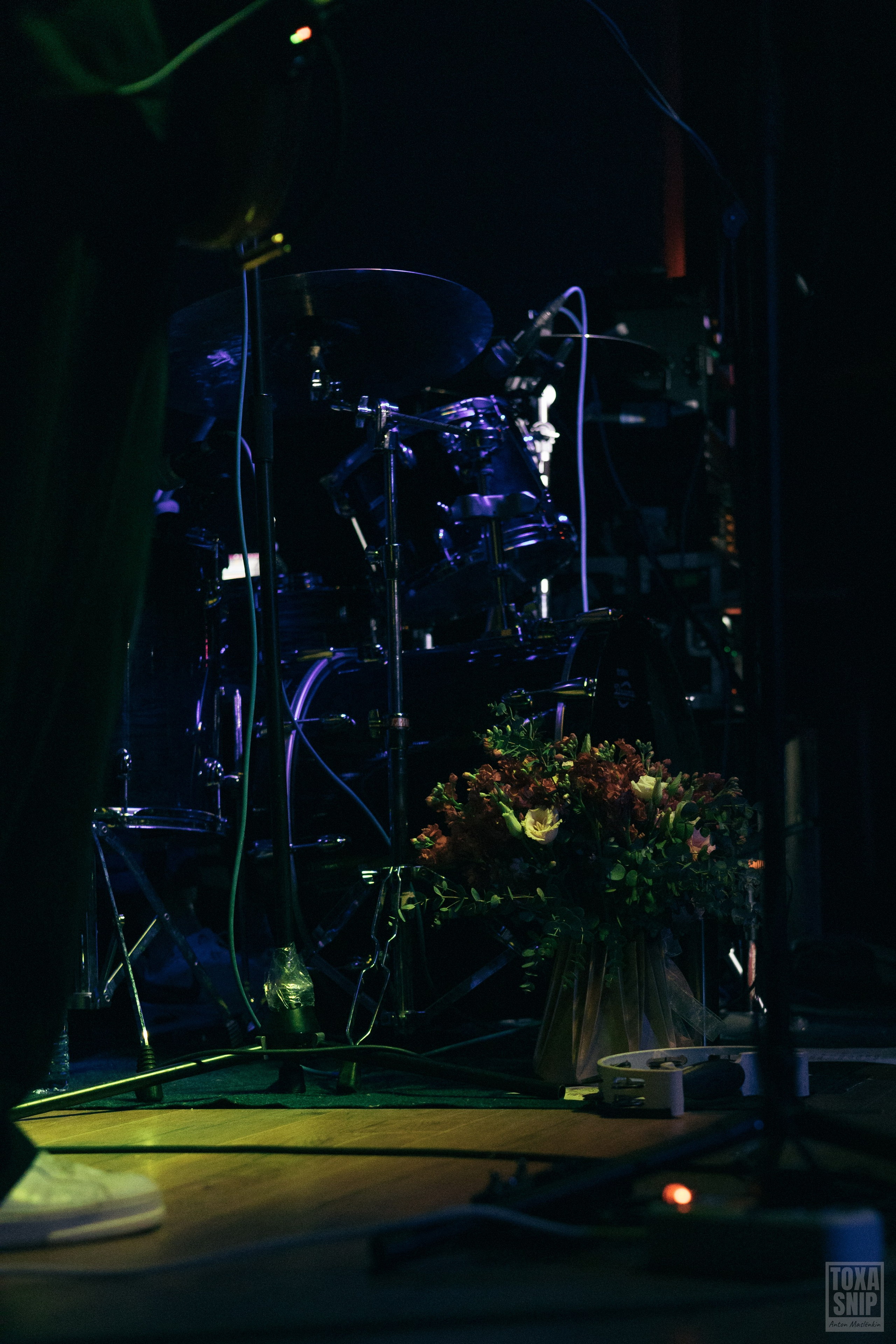 Мураками (27.04.2025). Toxasnip Photo | Anton Maslenkin