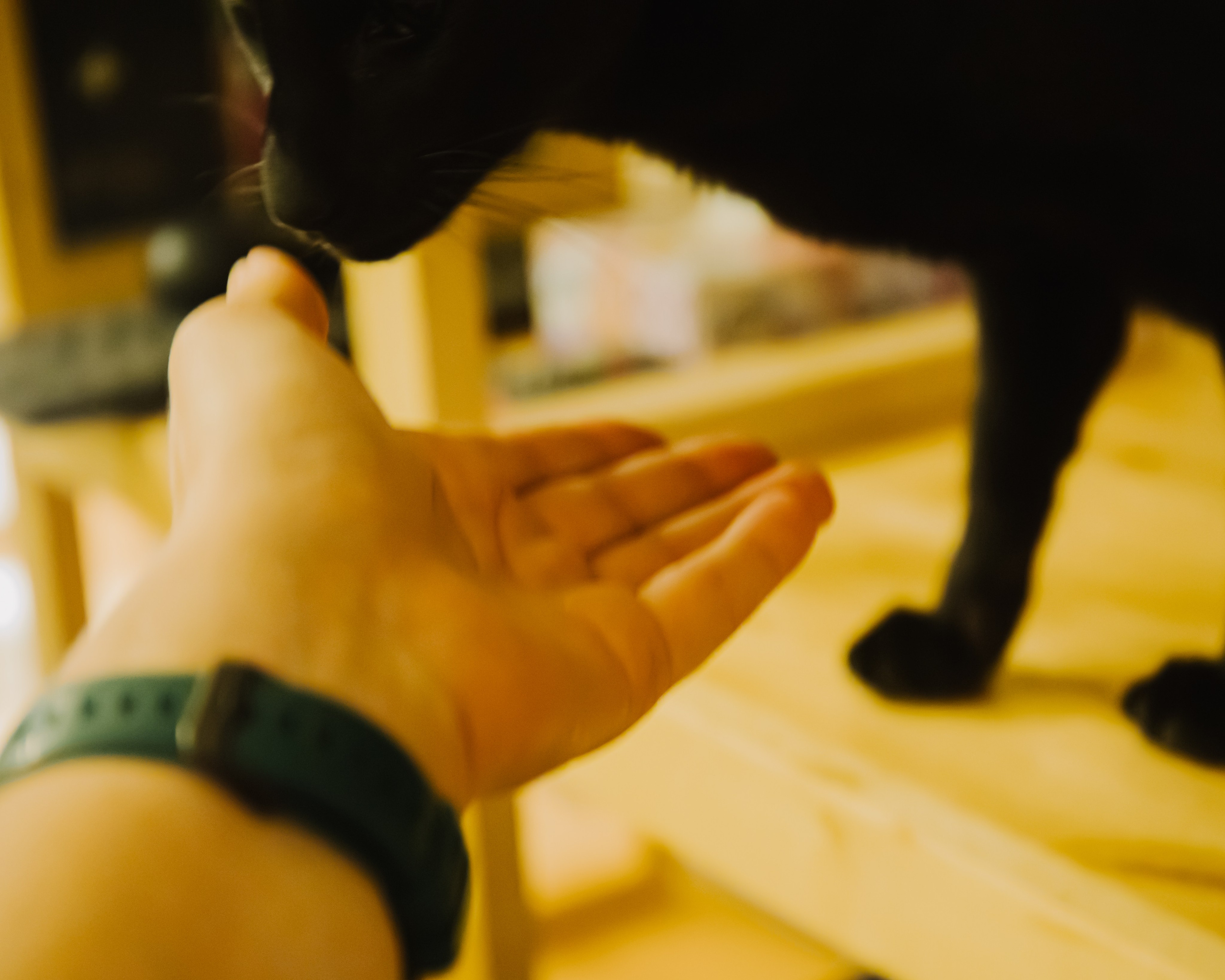 Гилдин. Портретный фотограф Ванинен Анастасия. Санкт-Петербург