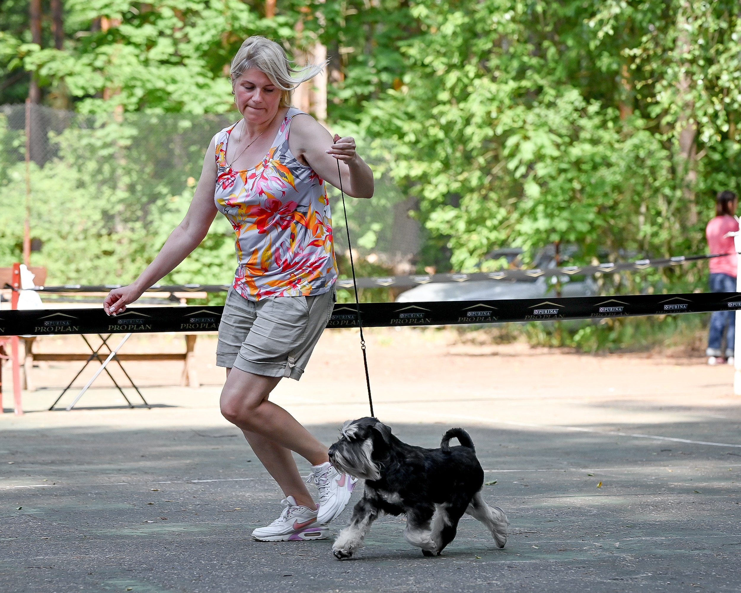 Питомник Делинсо Бэлэнс, щенки цвергшнауцера, купить щенка цвергшнауцера, питомник цвергшнауцеров, кобель цвергшнауцера для вязки, щенок цвергшнауцера, питомник цвергшнауцеров, черный с серебром, цверг, лучший питомник в беларуси