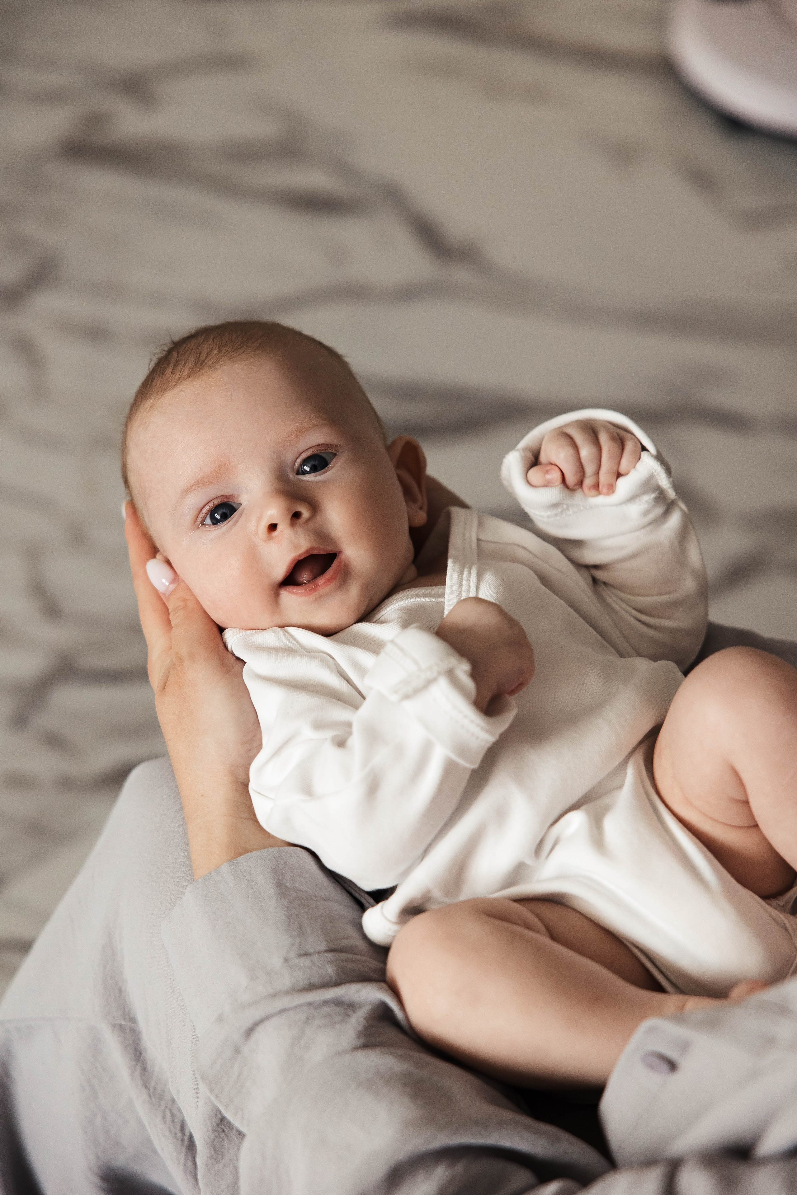 Леон, 3 месяца. Главная