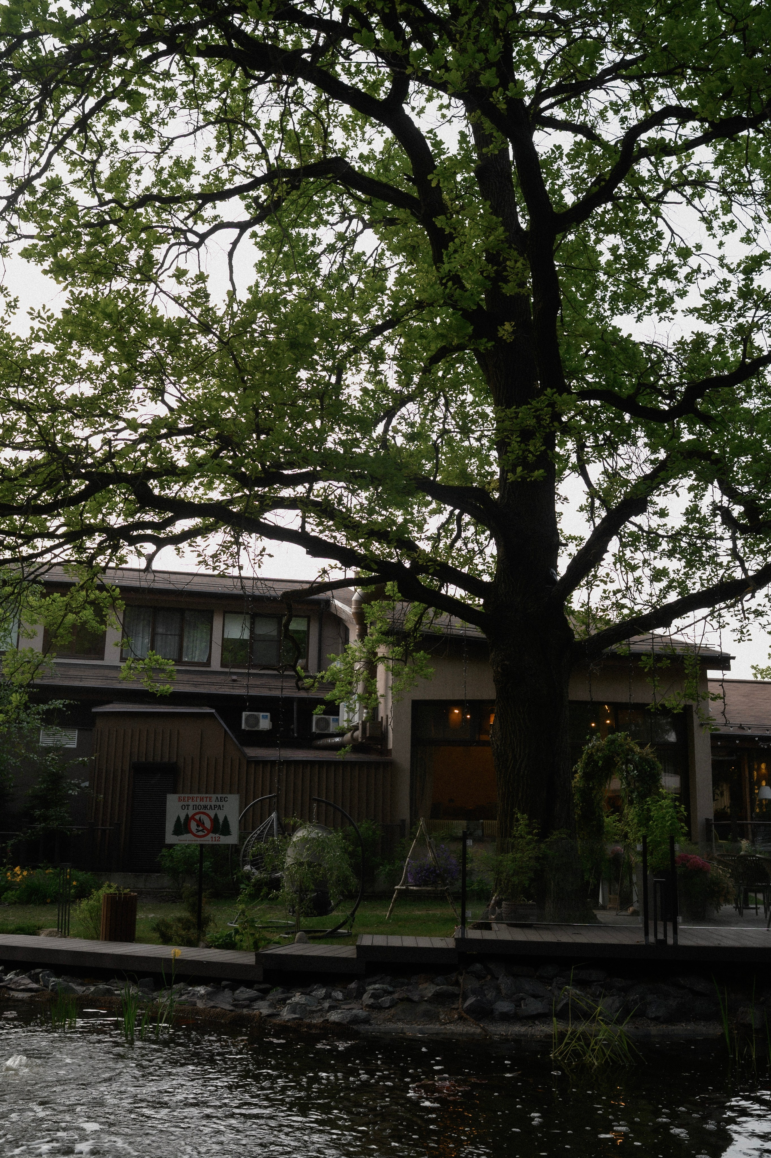 Надя и Алиса в ресторане Кедр. Семейный и свадебный lifestyle-фотограф в Москве Мария Петрова