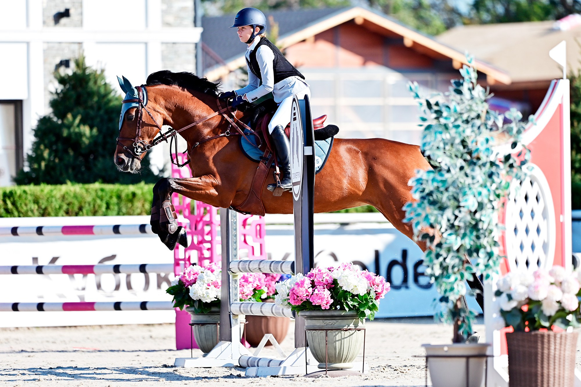 Голден. Конный фотограф Alesya Safe