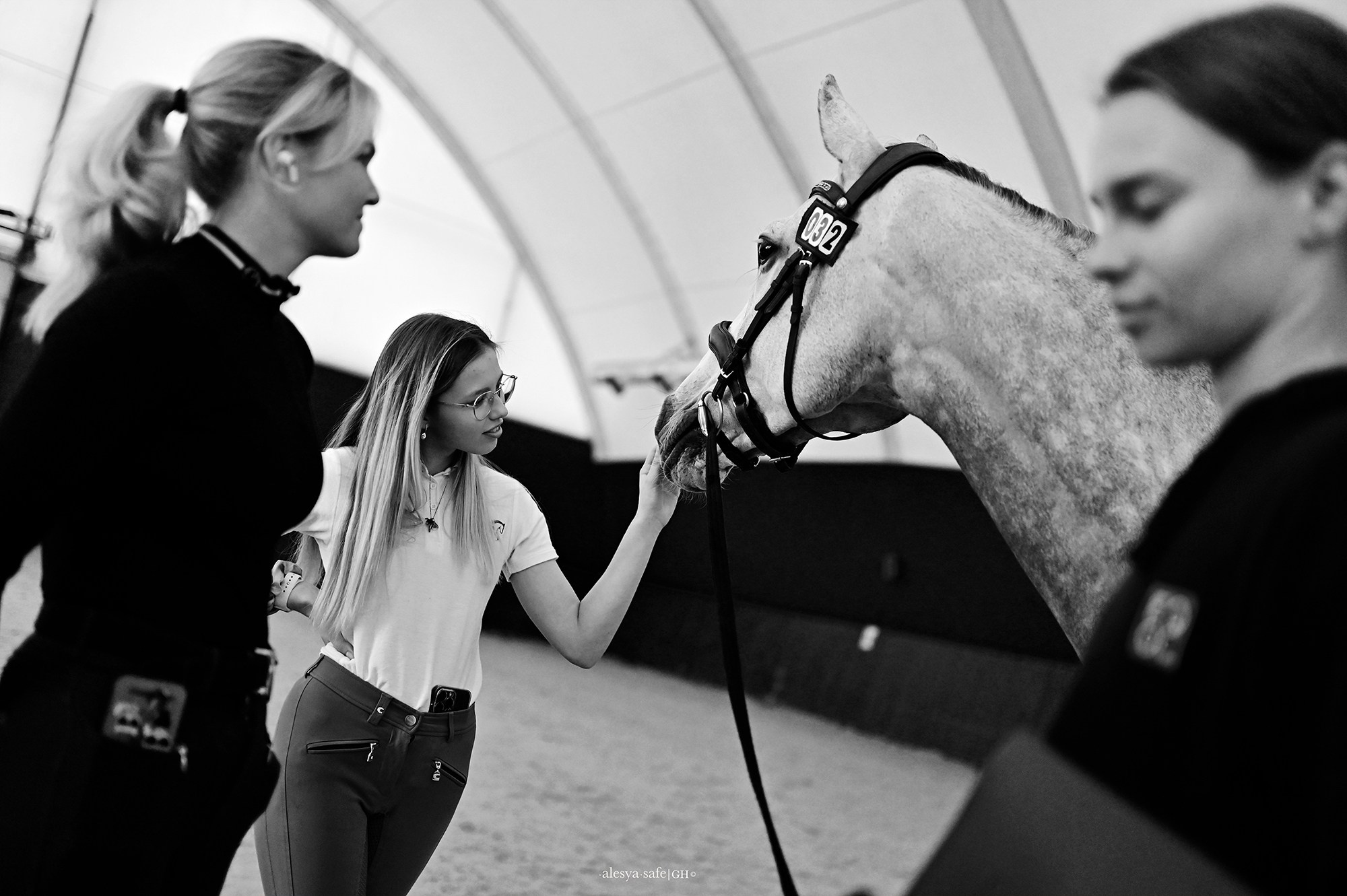 Голден. Конный фотограф Alesya Safe