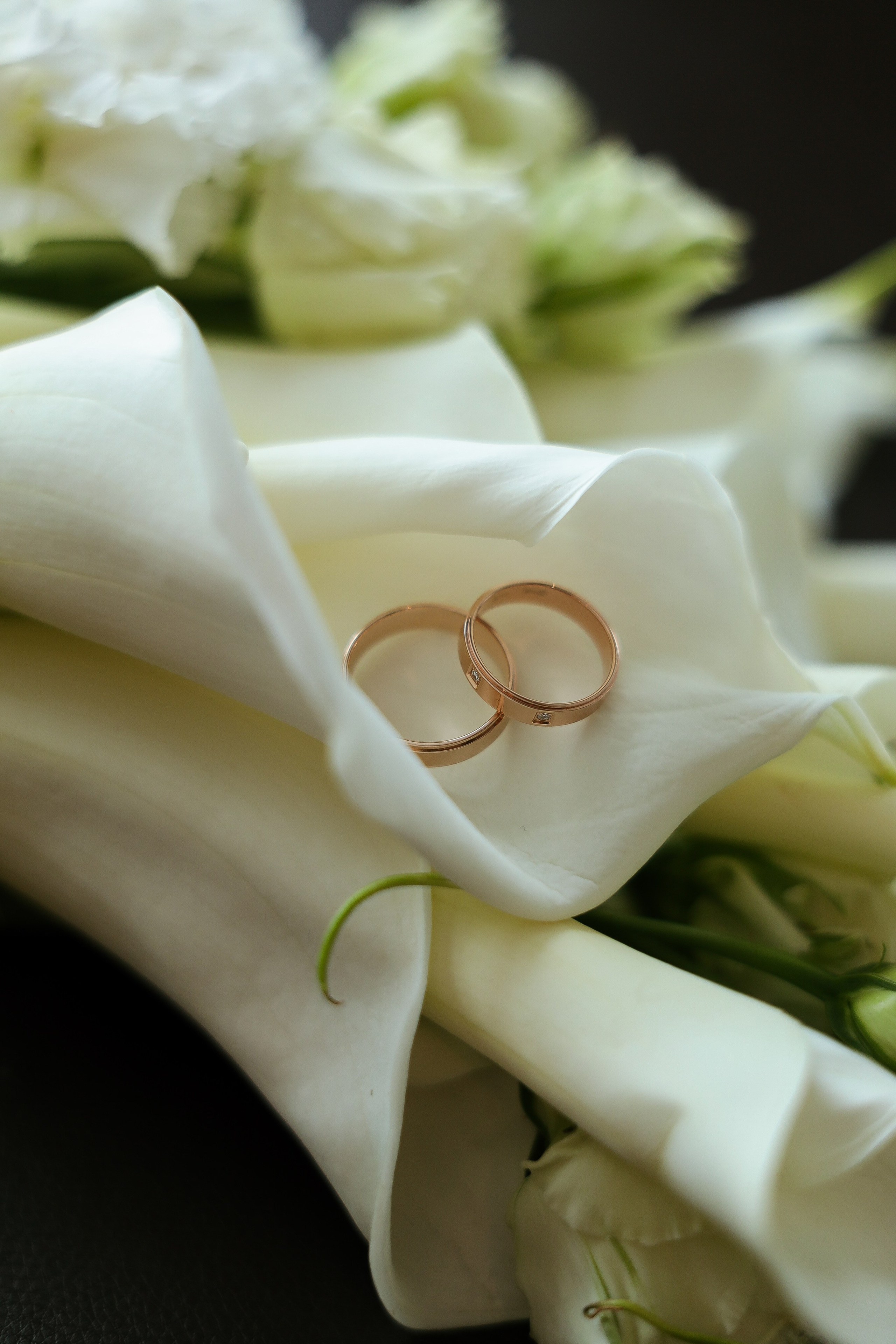 Portfolio. Свадебный фотограф Москва