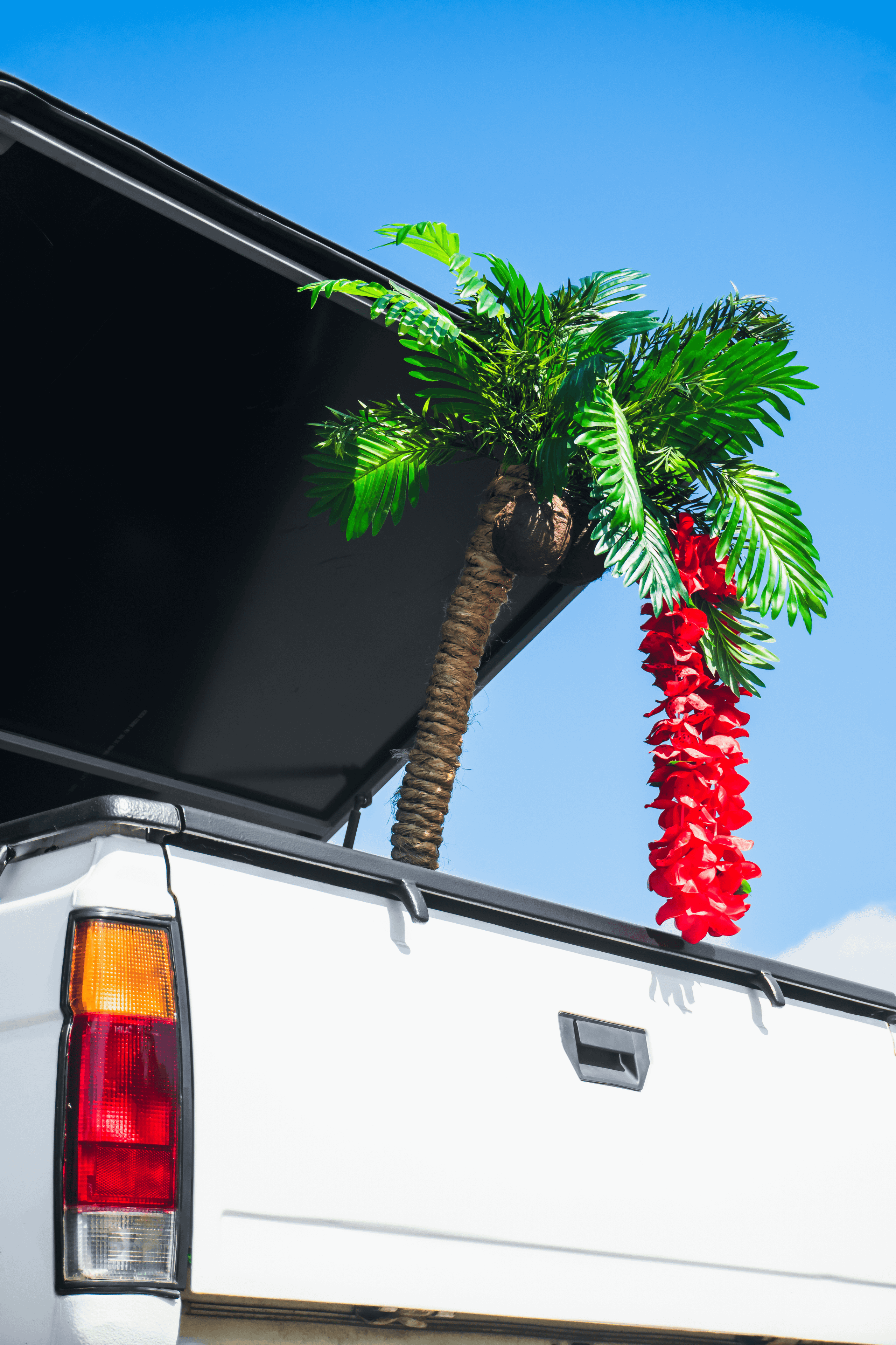 Nissan Datsun: наземная яхта