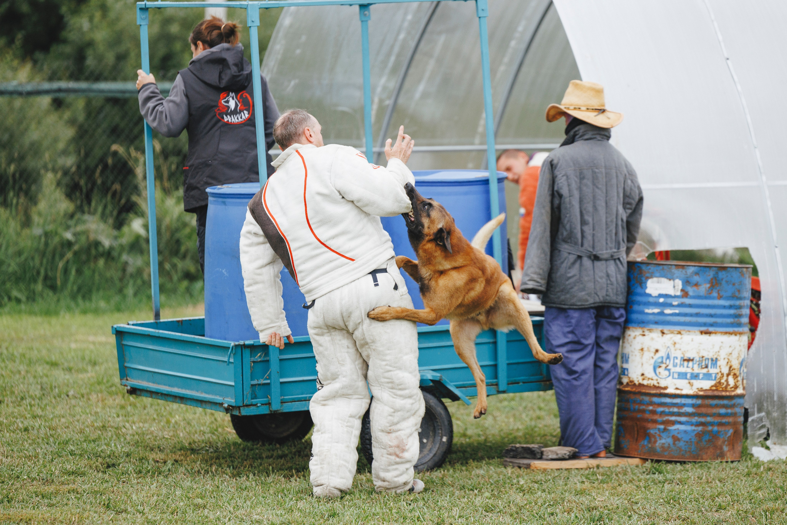 08.08.25-10.08.25 ЧР по мондьорингу г. Вологда. Фотограф-анималист Анна Маринич