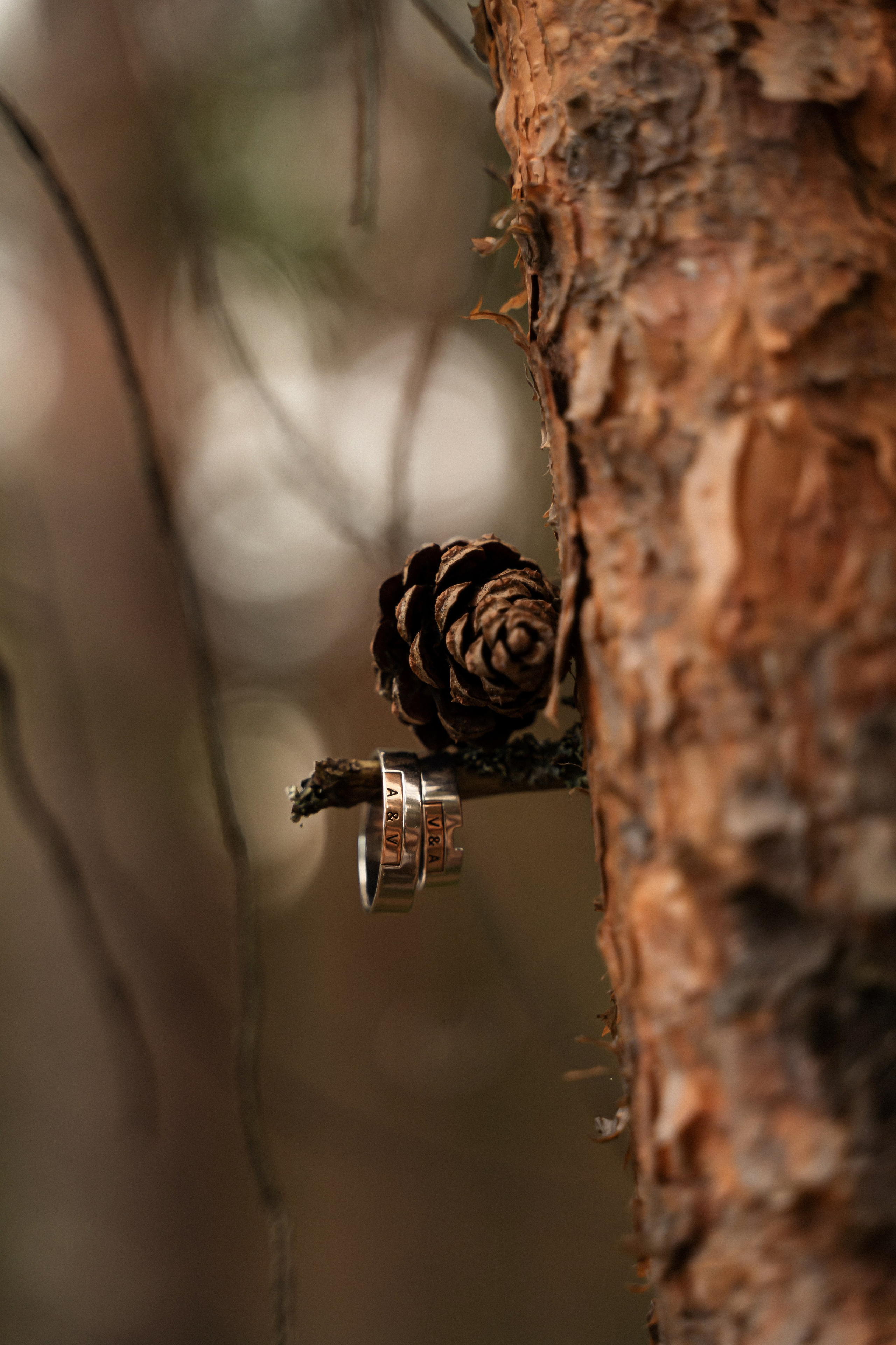 Александра и Владислав. Фотограф Алина Филимонова Тверь