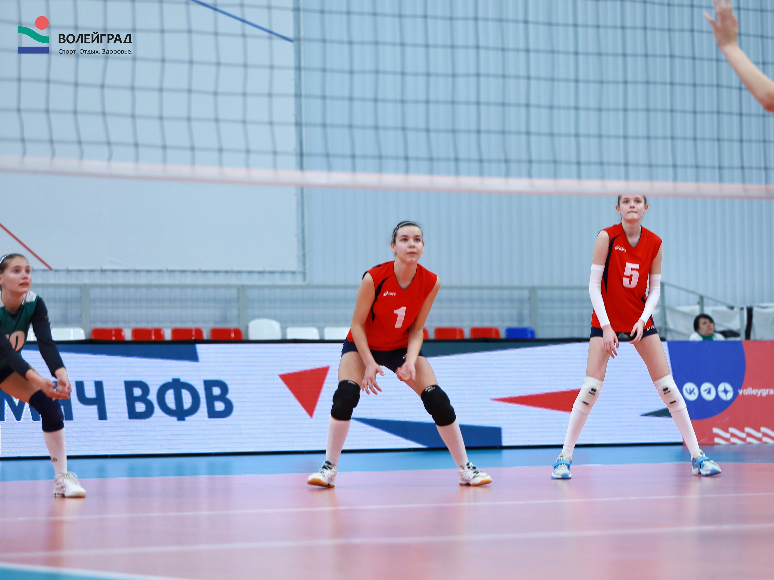Волейбол ВФВ 07.04.24. Репортажный фотограф Анапа