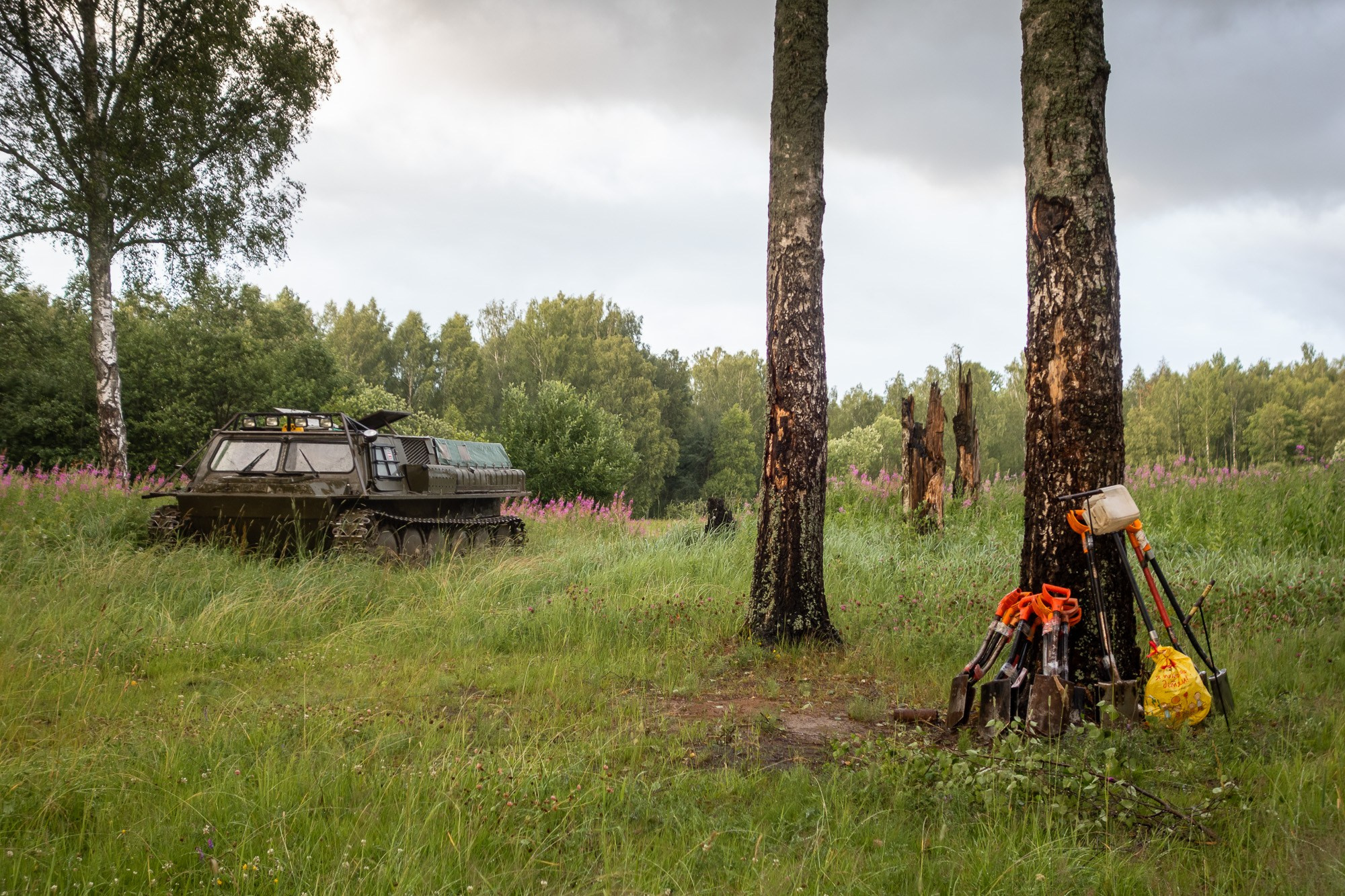 Высота 2019. Фотограф Алексей Скоробогатько